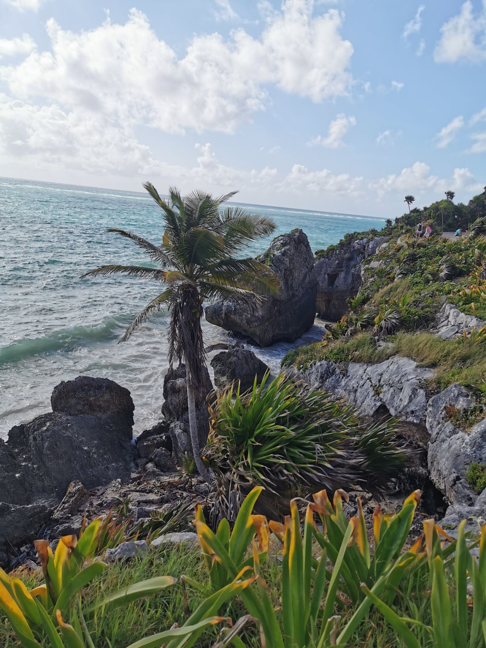 HUAWEI P30 Pro sample photo. Ocean, nature, tulum photography