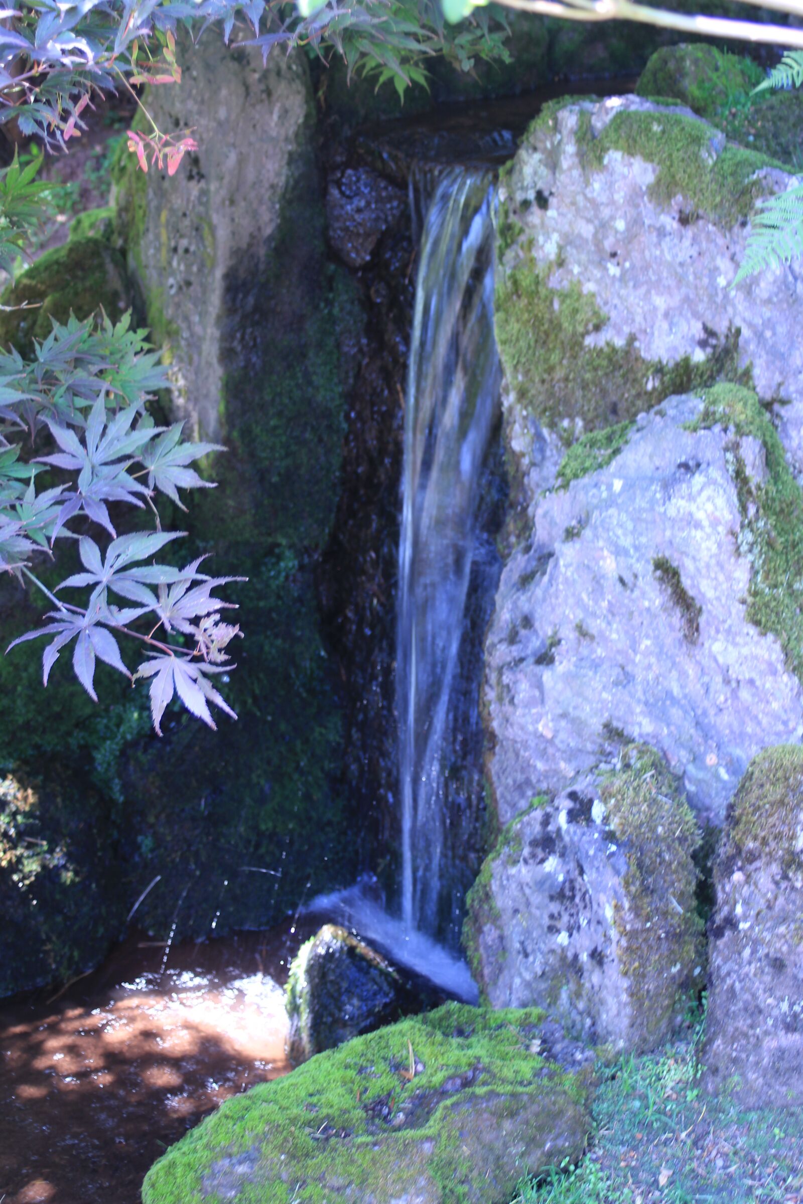 Canon EF 35-80mm F4.0-5.6 III sample photo. Japan garden, waterfall, natural photography