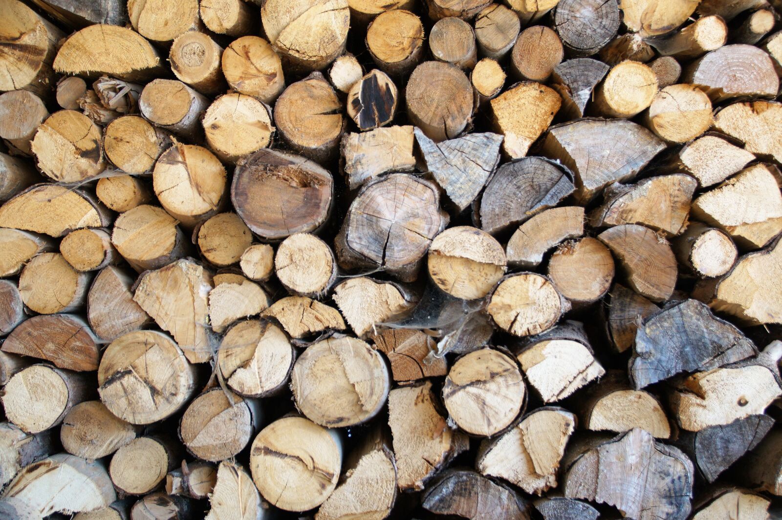 Sony SLT-A58 sample photo. Wood, pile, fuel photography