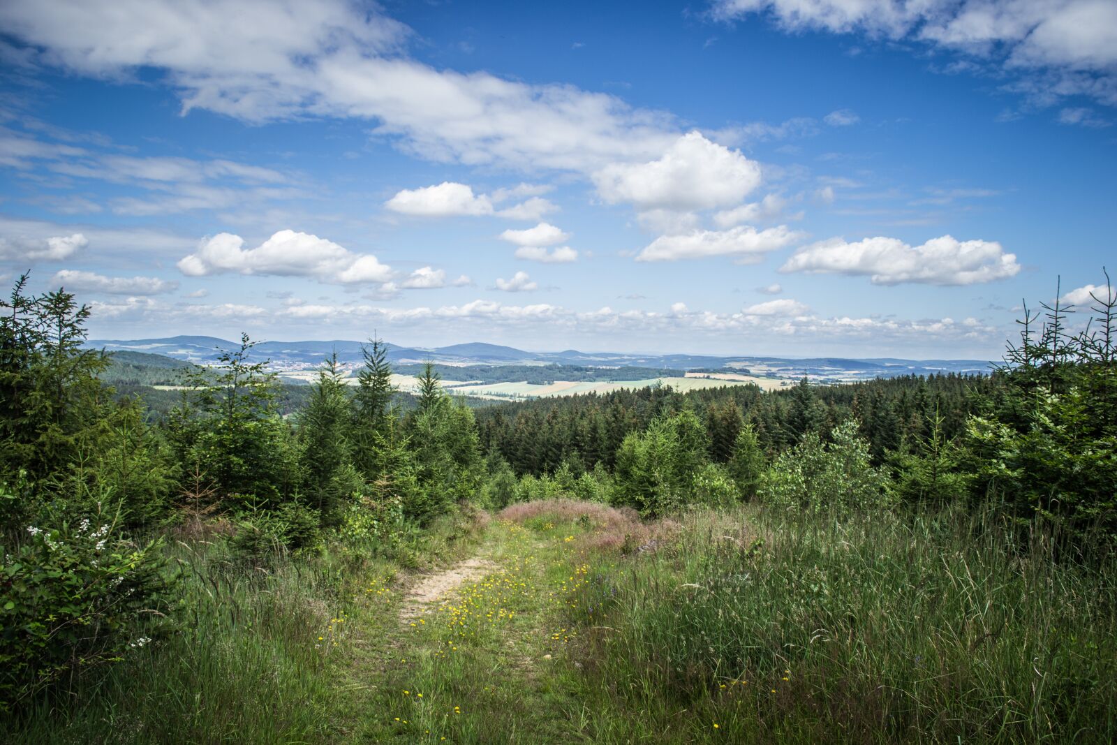 Nikon D3100 sample photo. Panorama, view, nature photography