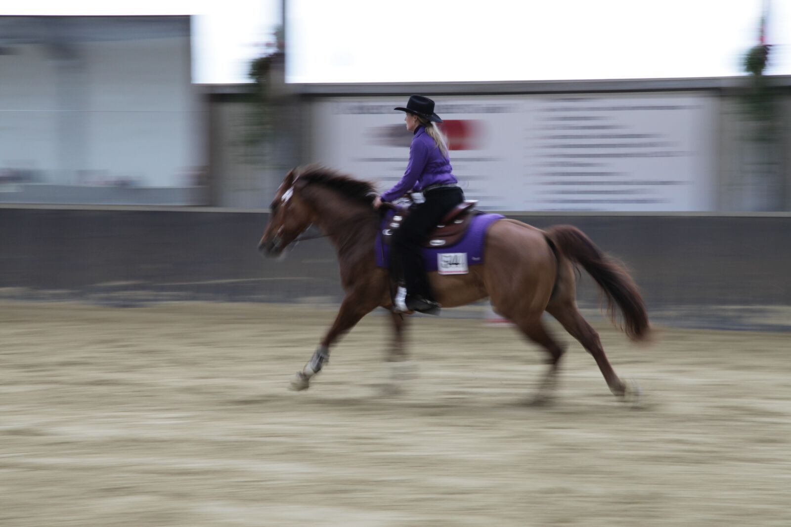 Canon EOS 5D Mark II sample photo. Ride, tournament, horse photography