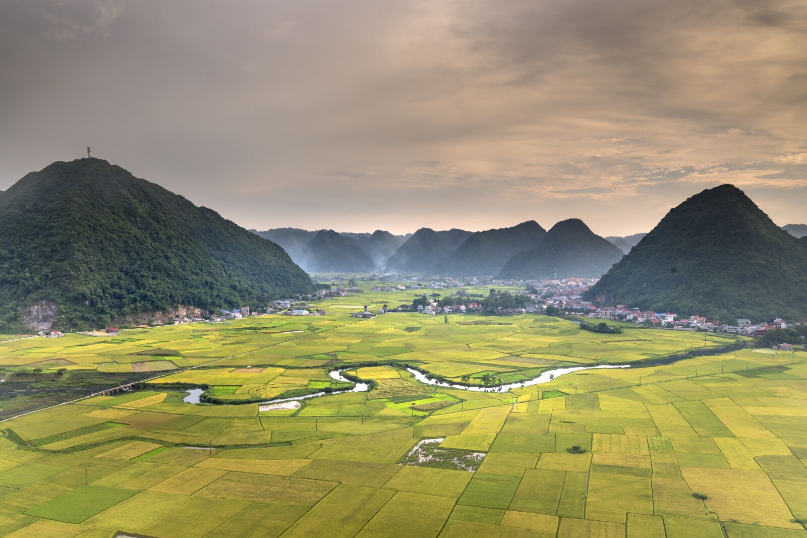 Sony a7R III + Sony FE 24-70mm F2.8 GM sample photo. Bac son, silk, field photography