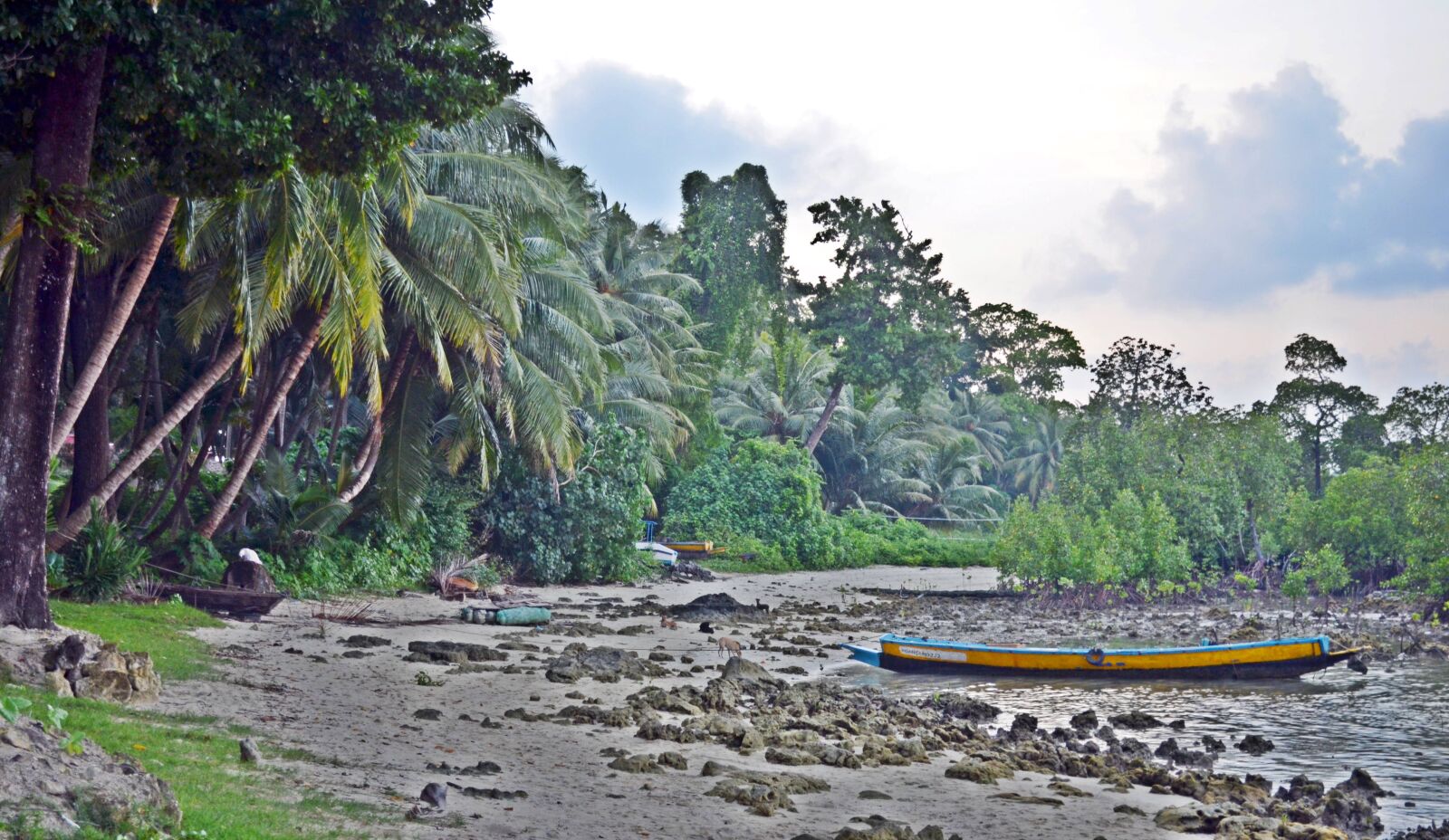 Nikon D5100 sample photo. Boat, palm, tree photography
