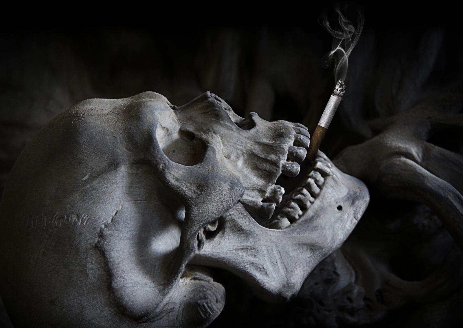 Sony Alpha NEX-5 + Sony E 18-55mm F3.5-5.6 OSS sample photo. Skull, cigarette, death photography