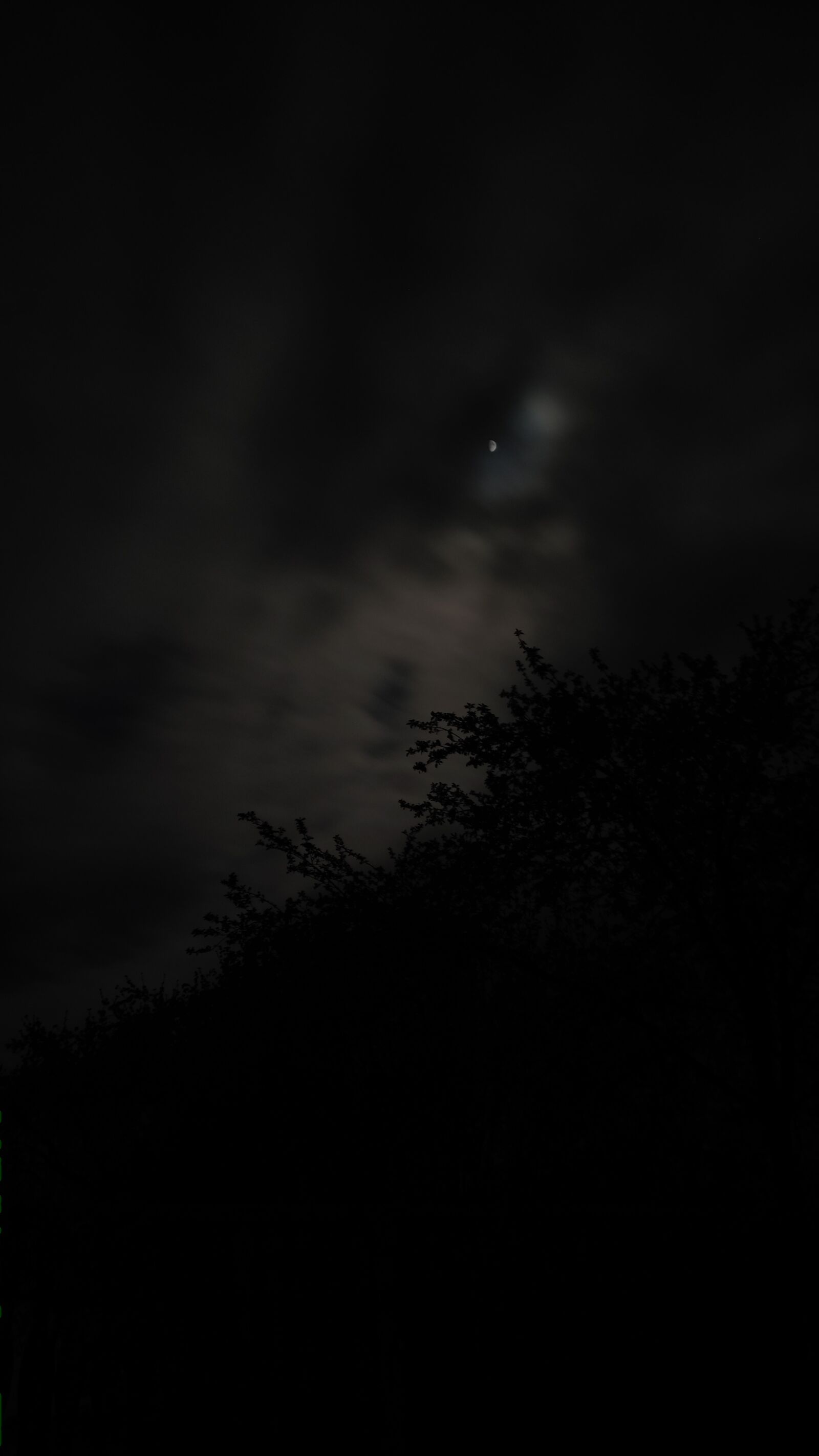 Xiaomi Mi 9T sample photo. Night, garden, figurines photography