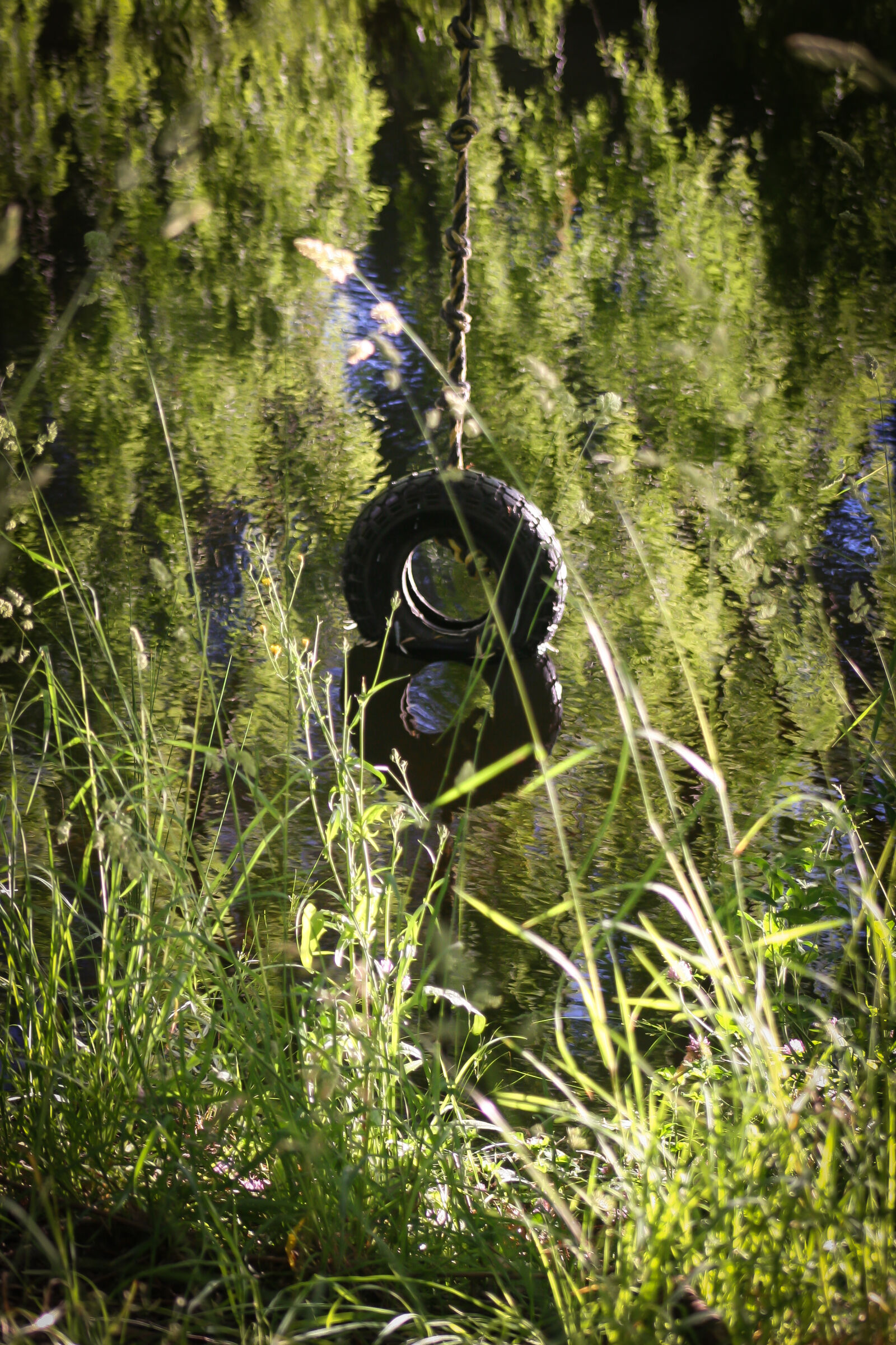 Canon EOS 20D sample photo. Grass, new, zealand, pond photography