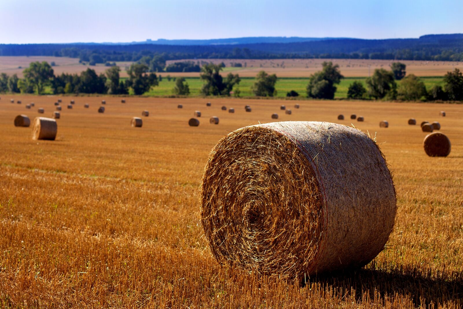 Canon EOS 5D Mark II sample photo. Straw, straw bales, field photography
