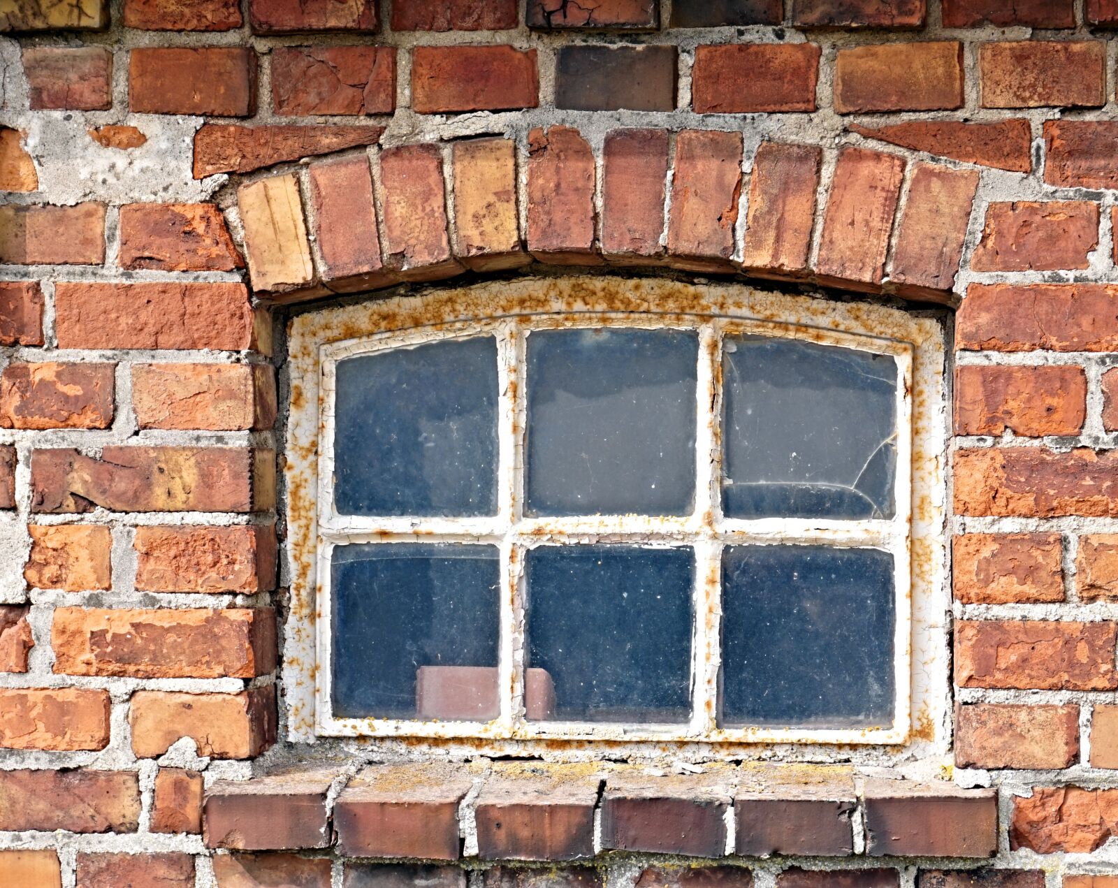 Sony Alpha a5000 (ILCE 5000) sample photo. Wall, window, picture frame photography