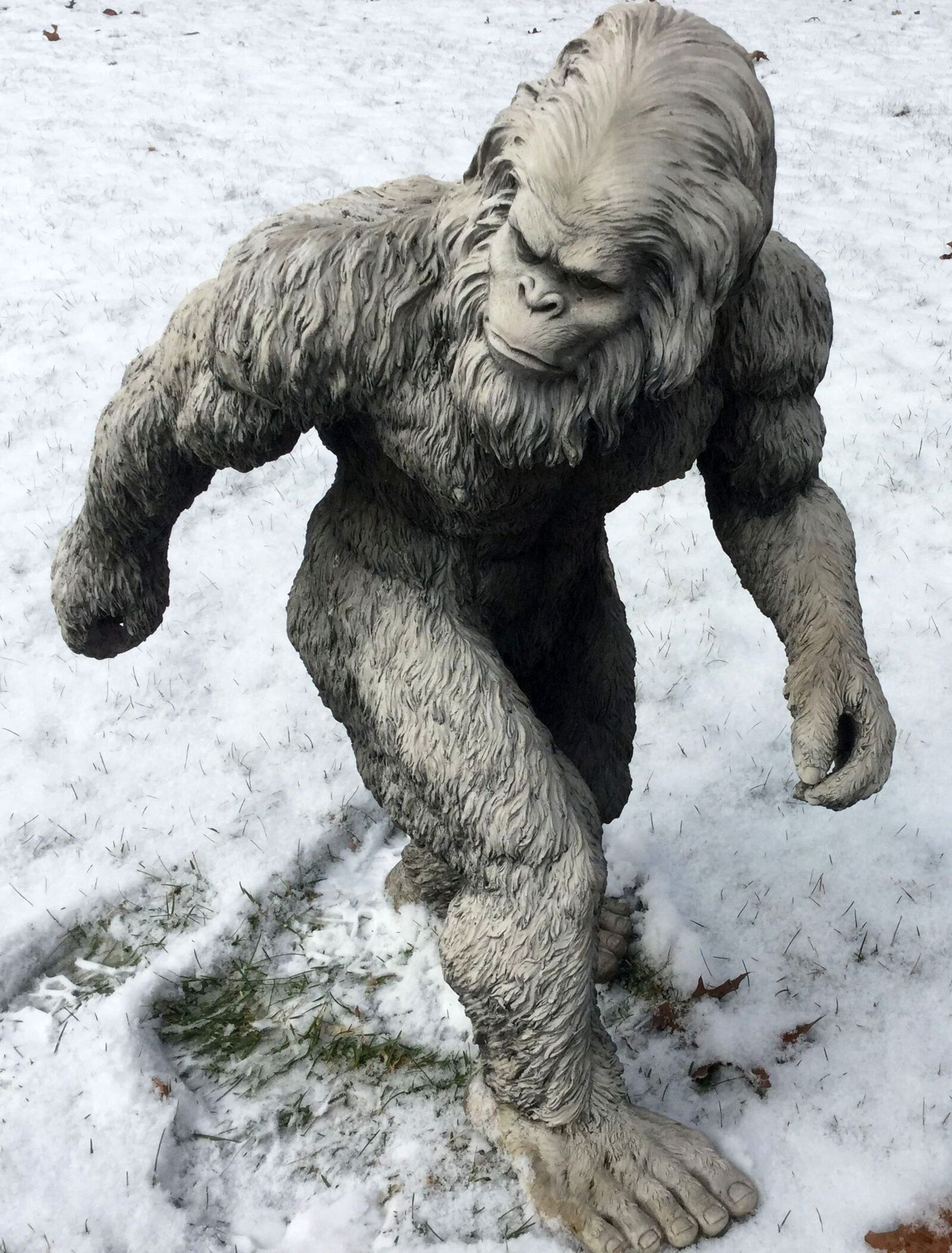 Apple iPad Air 2 sample photo. Bigfoot, sasquatch, yeti photography