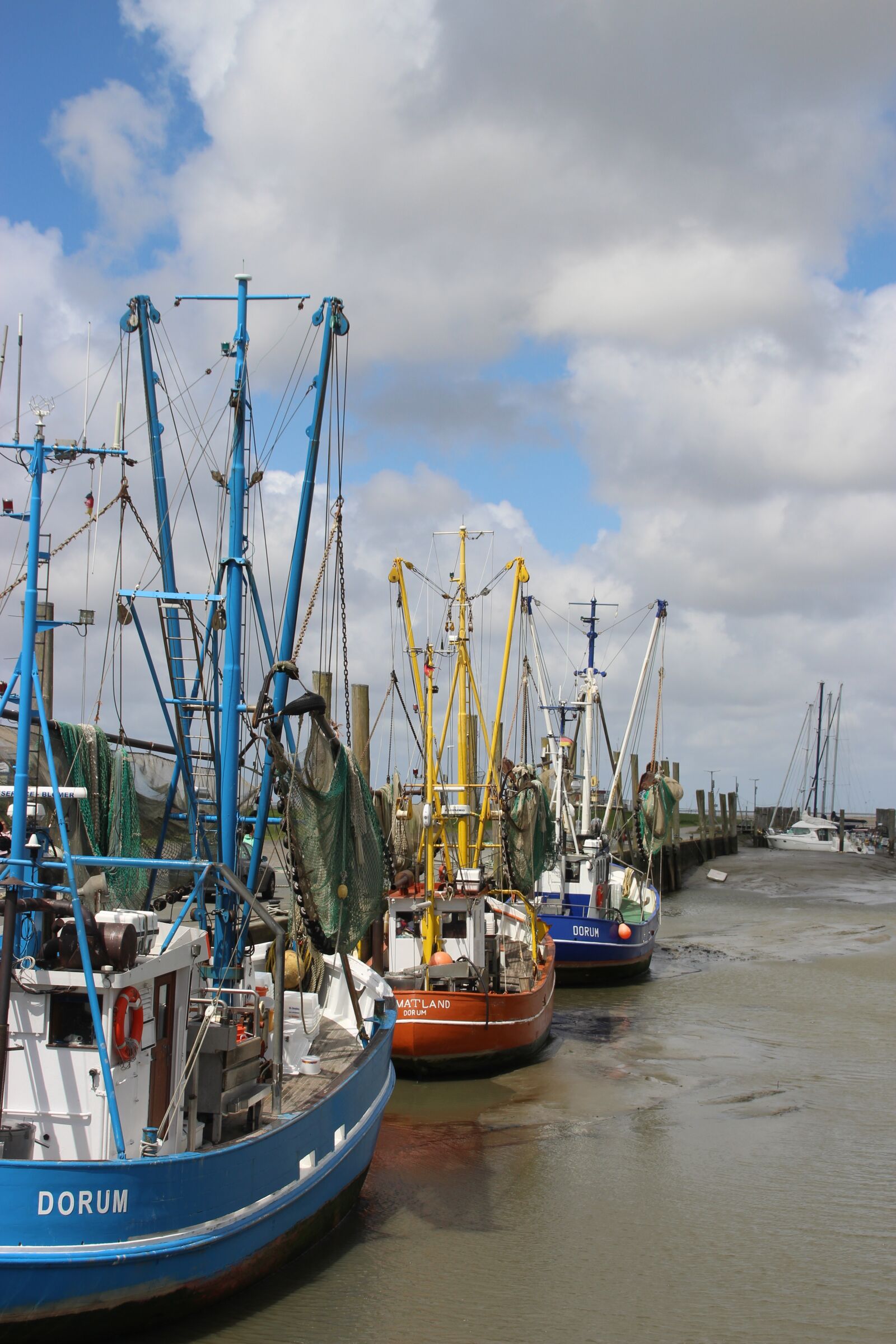 Canon EOS 700D (EOS Rebel T5i / EOS Kiss X7i) sample photo. Shrimp, ebb, dorum photography