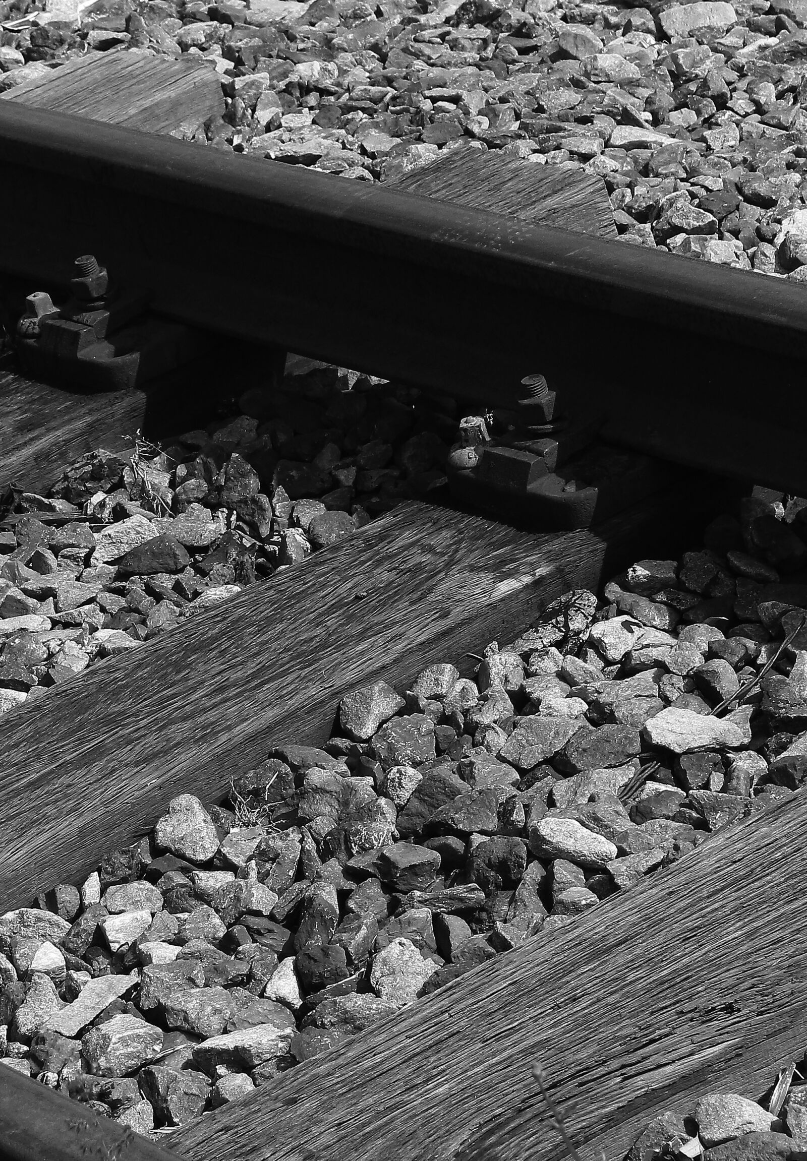 Canon EOS 1300D (EOS Rebel T6 / EOS Kiss X80) sample photo. Railway, train, railroad track photography