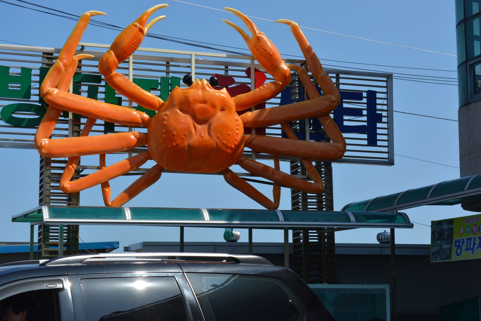 Nikon D5200 sample photo. Crabs, sea food, crab photography