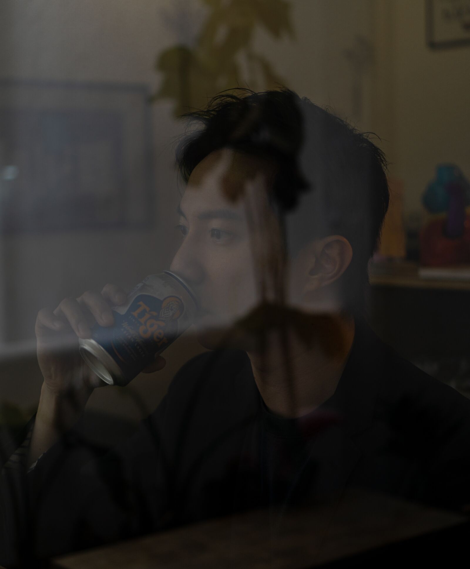 Sony E 35mm F1.8 OSS sample photo. Tiger, beer, reflection photography