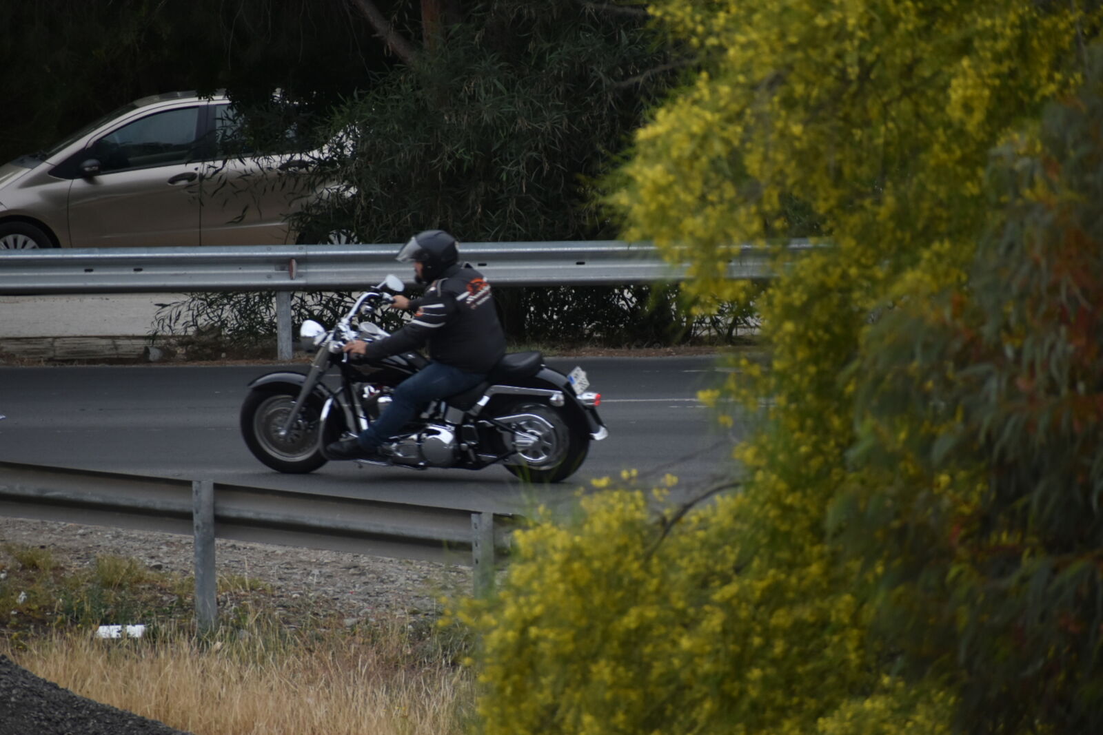 Nikon D5600 sample photo
