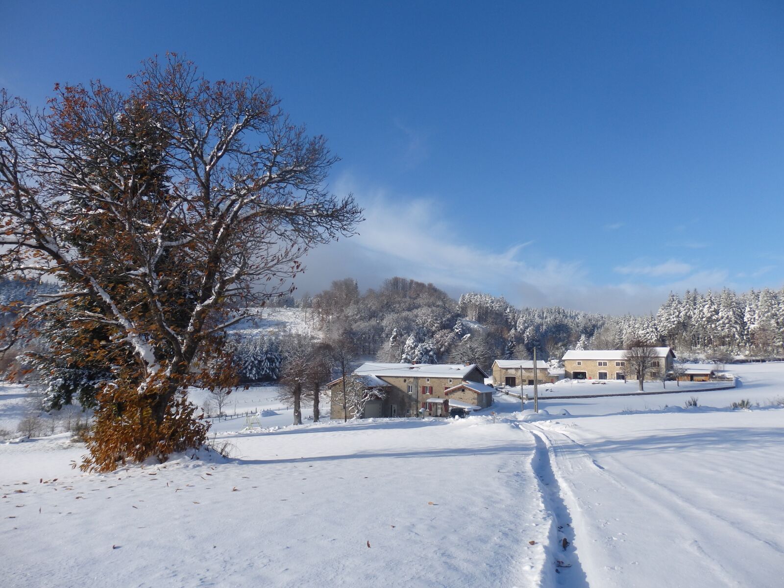 Olympus SZ-16,DZ-105 sample photo. Snow, winter, cold photography