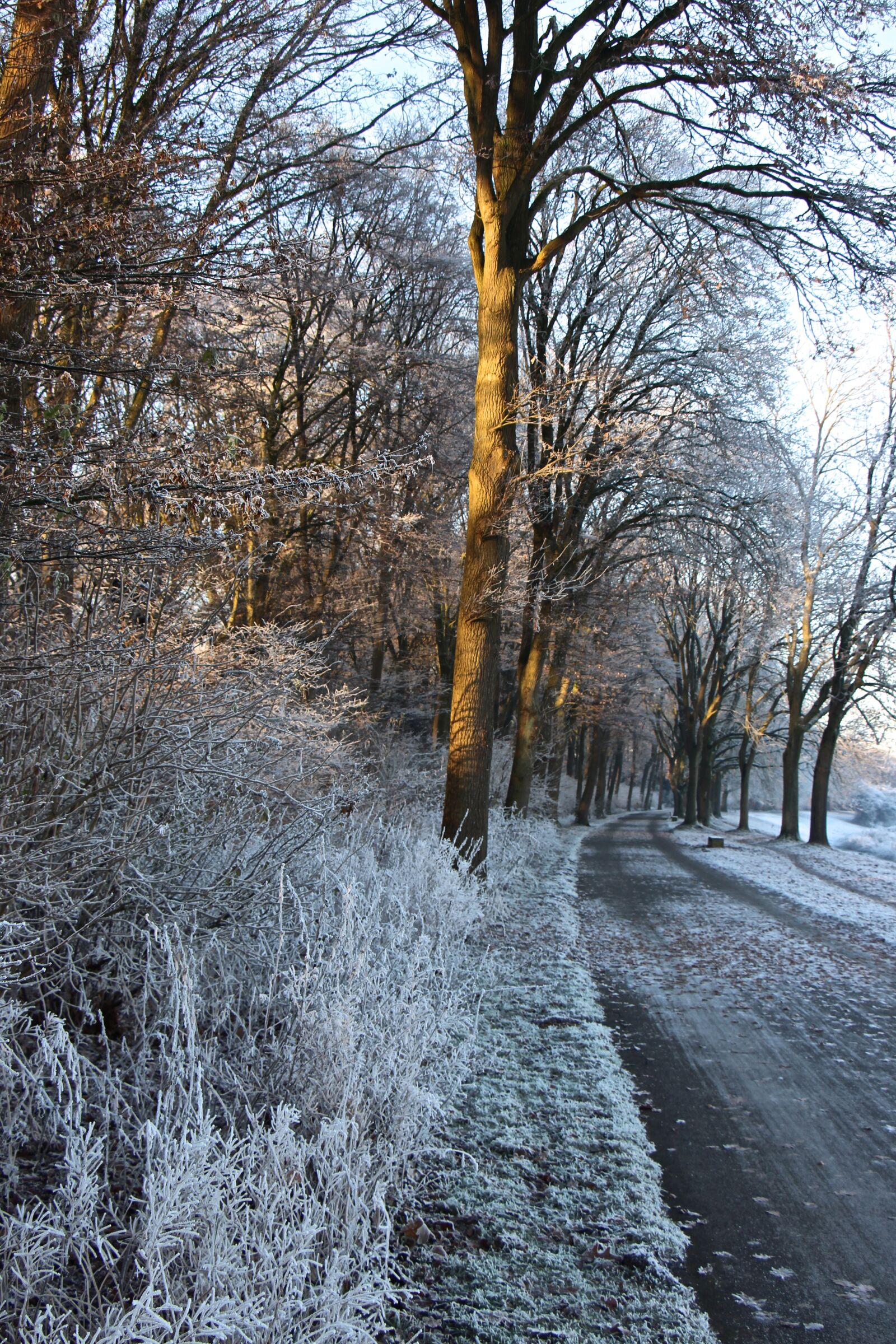 Canon EOS 700D (EOS Rebel T5i / EOS Kiss X7i) sample photo. Winter, cold, nature photography