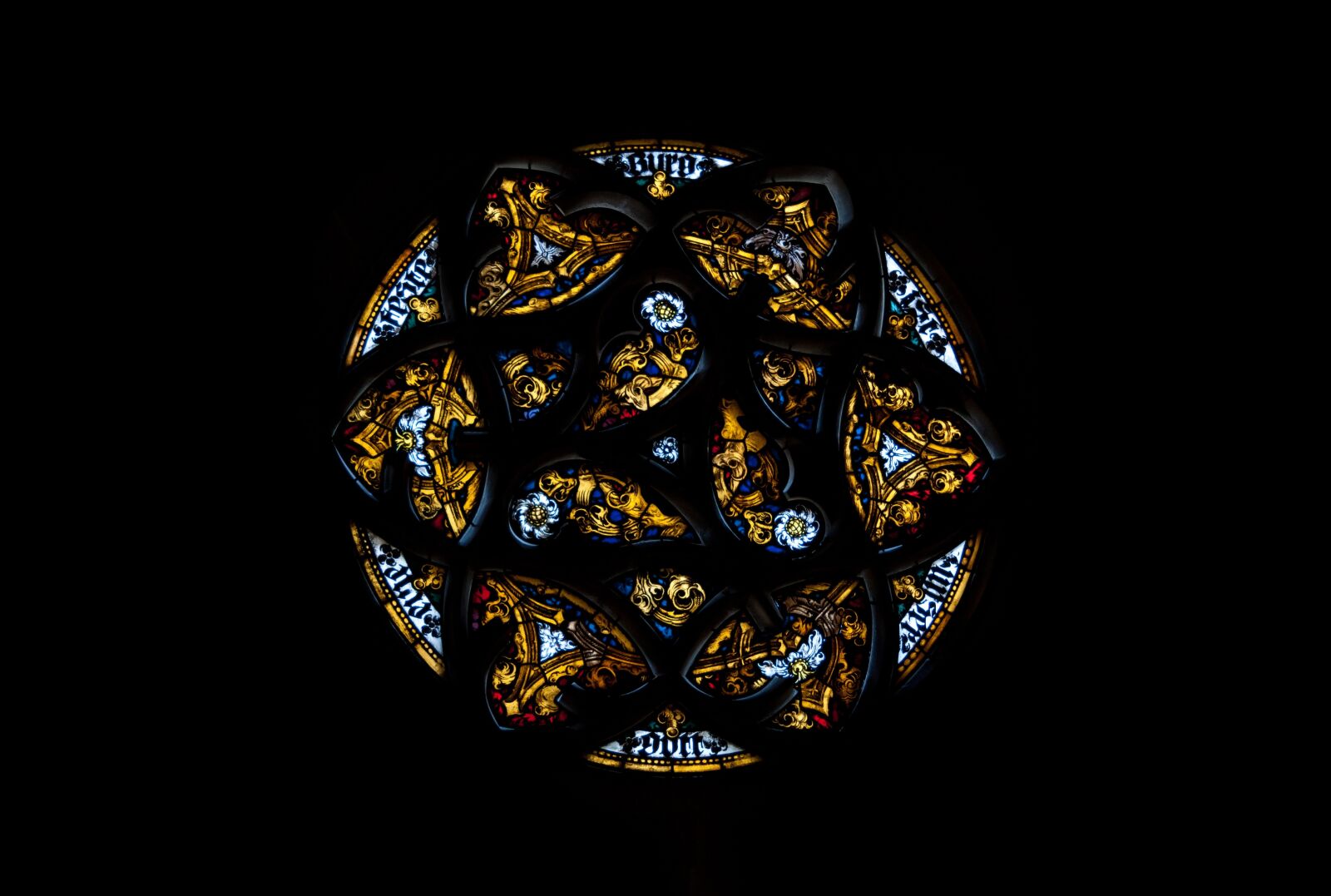 Nikon D5000 sample photo. Window, colorful, stained glass photography