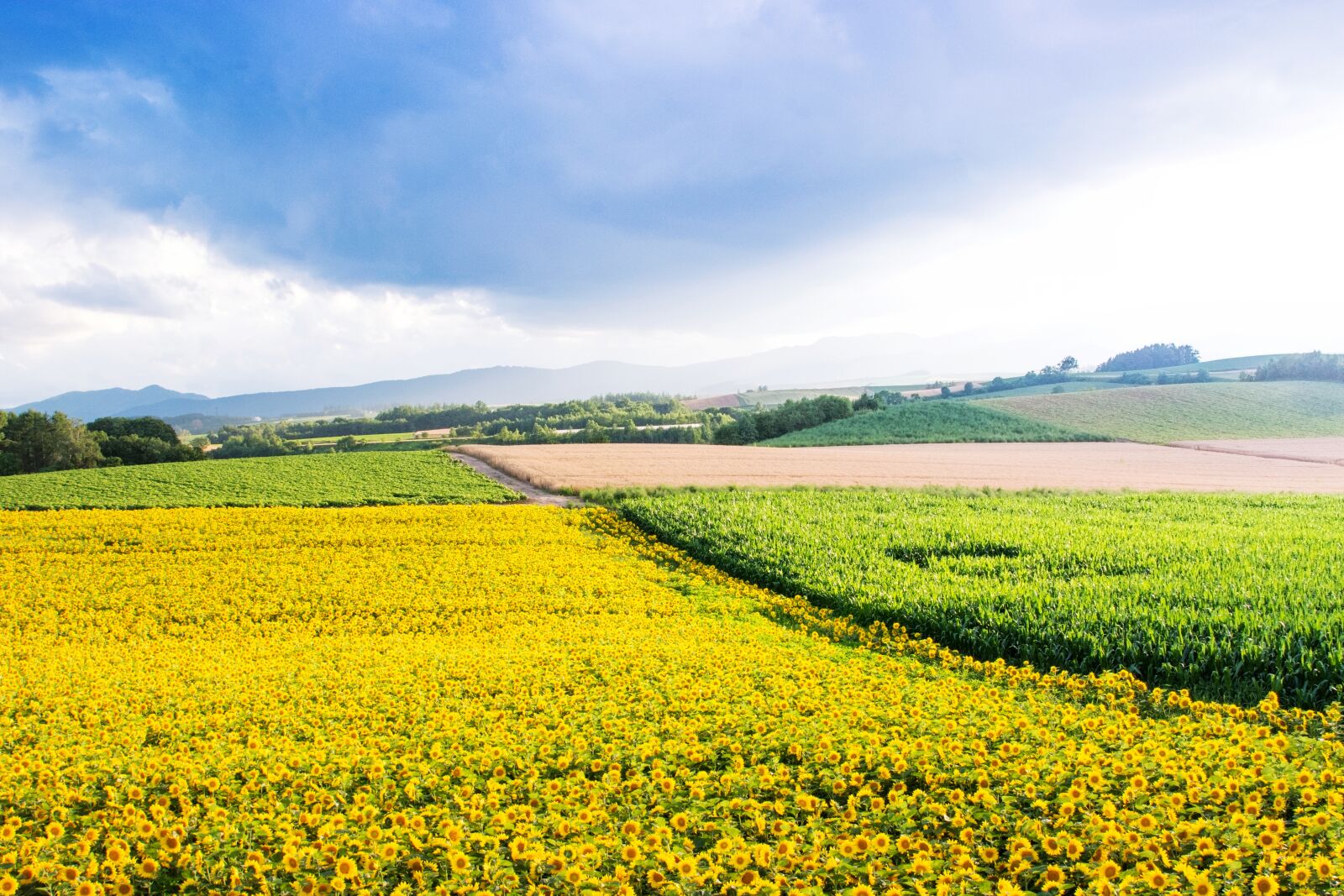 Nikon D7100 sample photo. Japan, hokkaido, biei photography