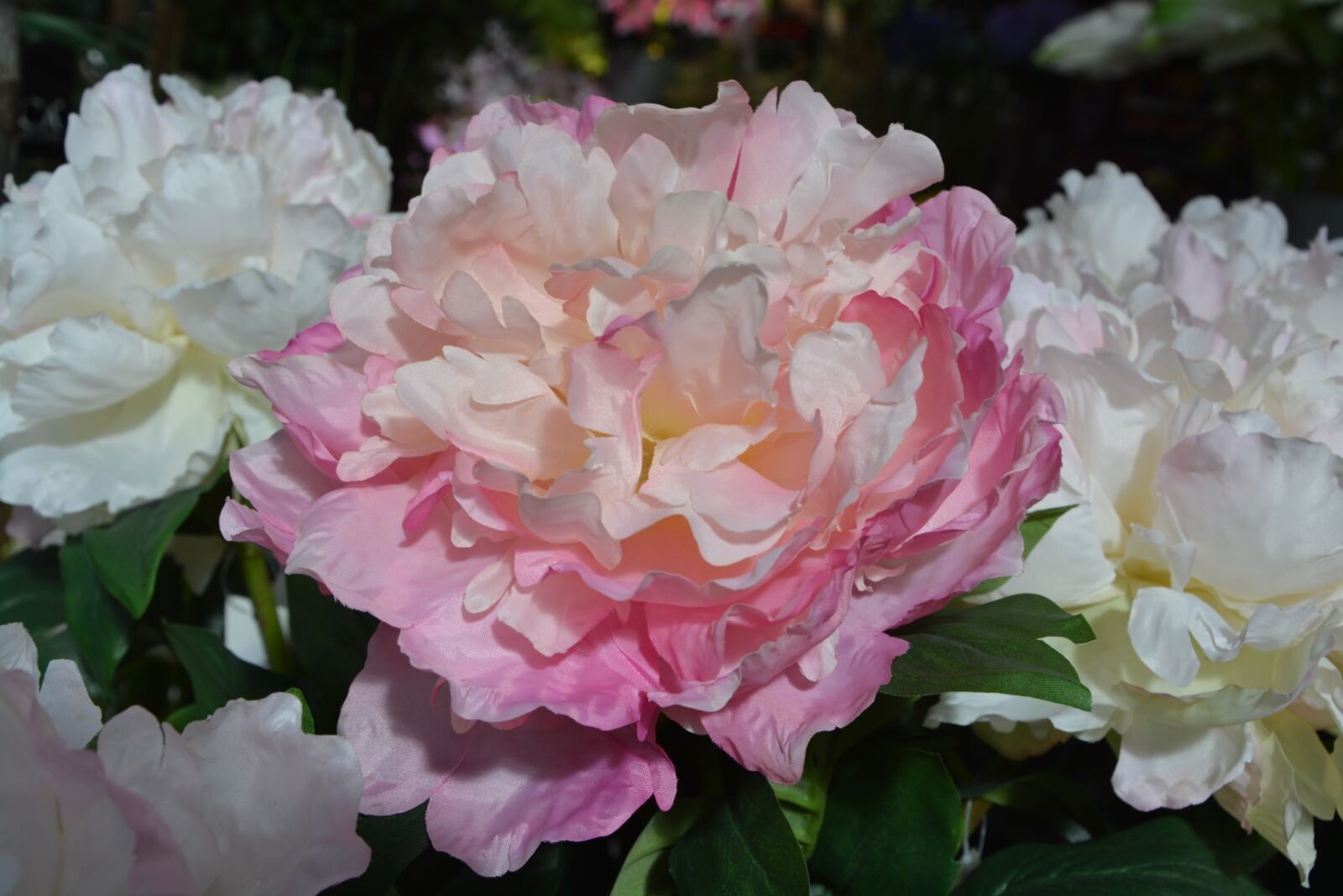 Nikon D5200 sample photo. Flower, flowers fabric, floral photography
