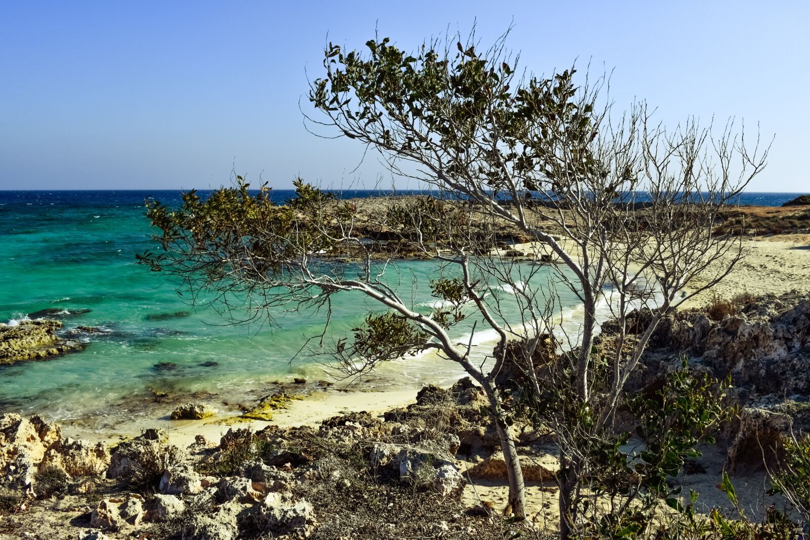 Nikon D3300 sample photo. Beach, cove, tree photography