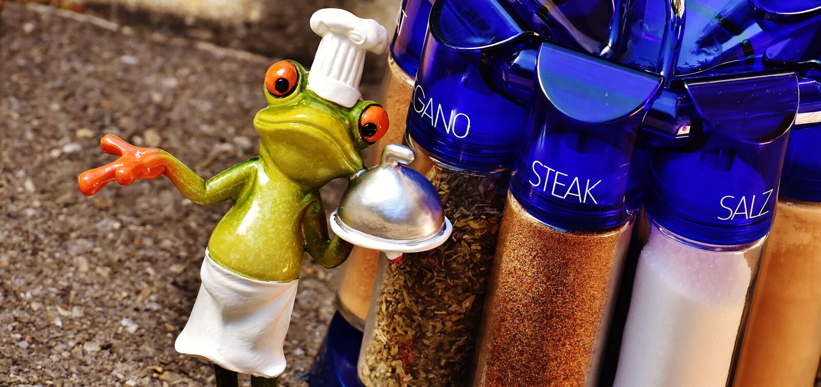 Nikon D7200 sample photo. Frog, cooking, spices photography