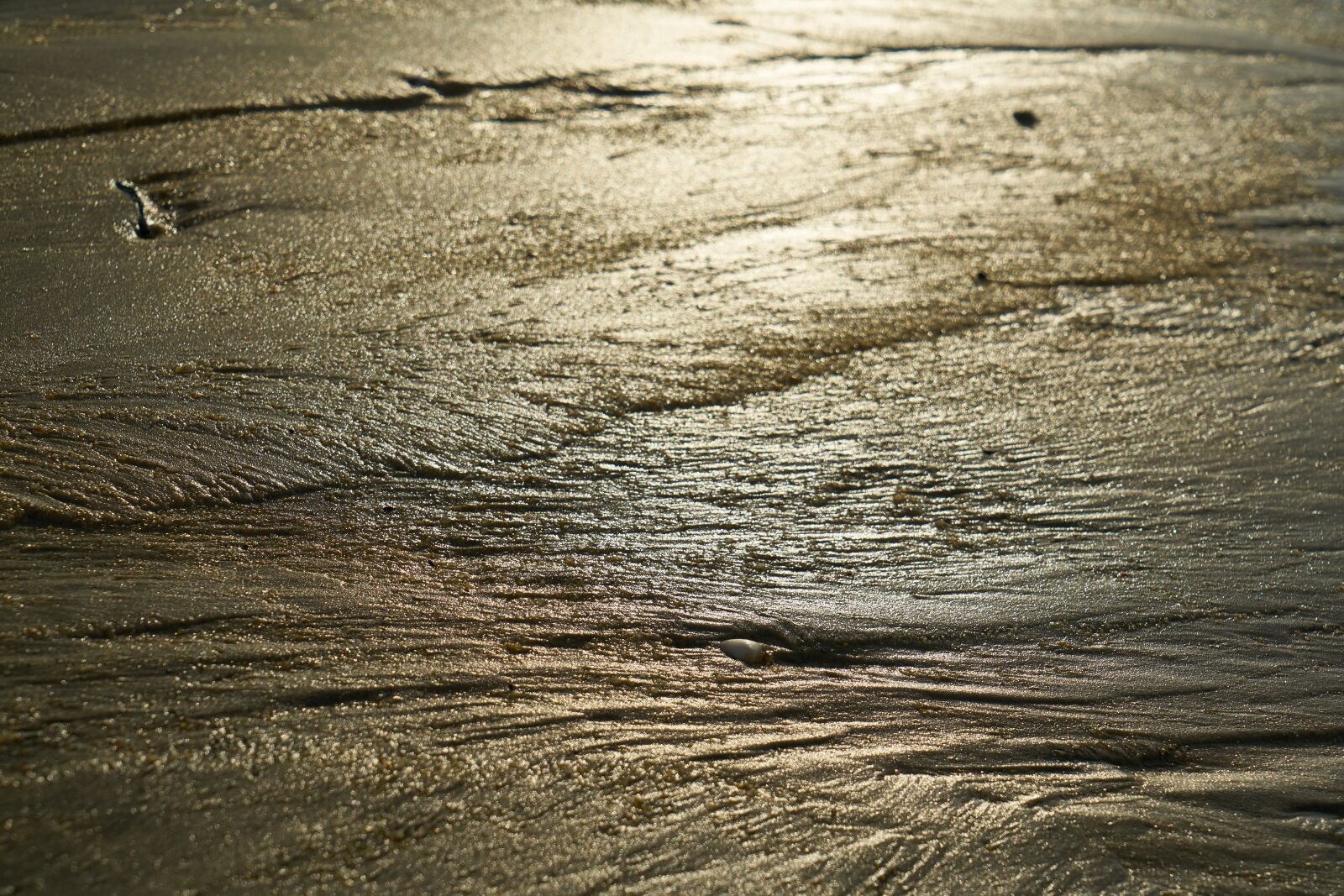 Sony a7R II sample photo. Beach, sand, light photography