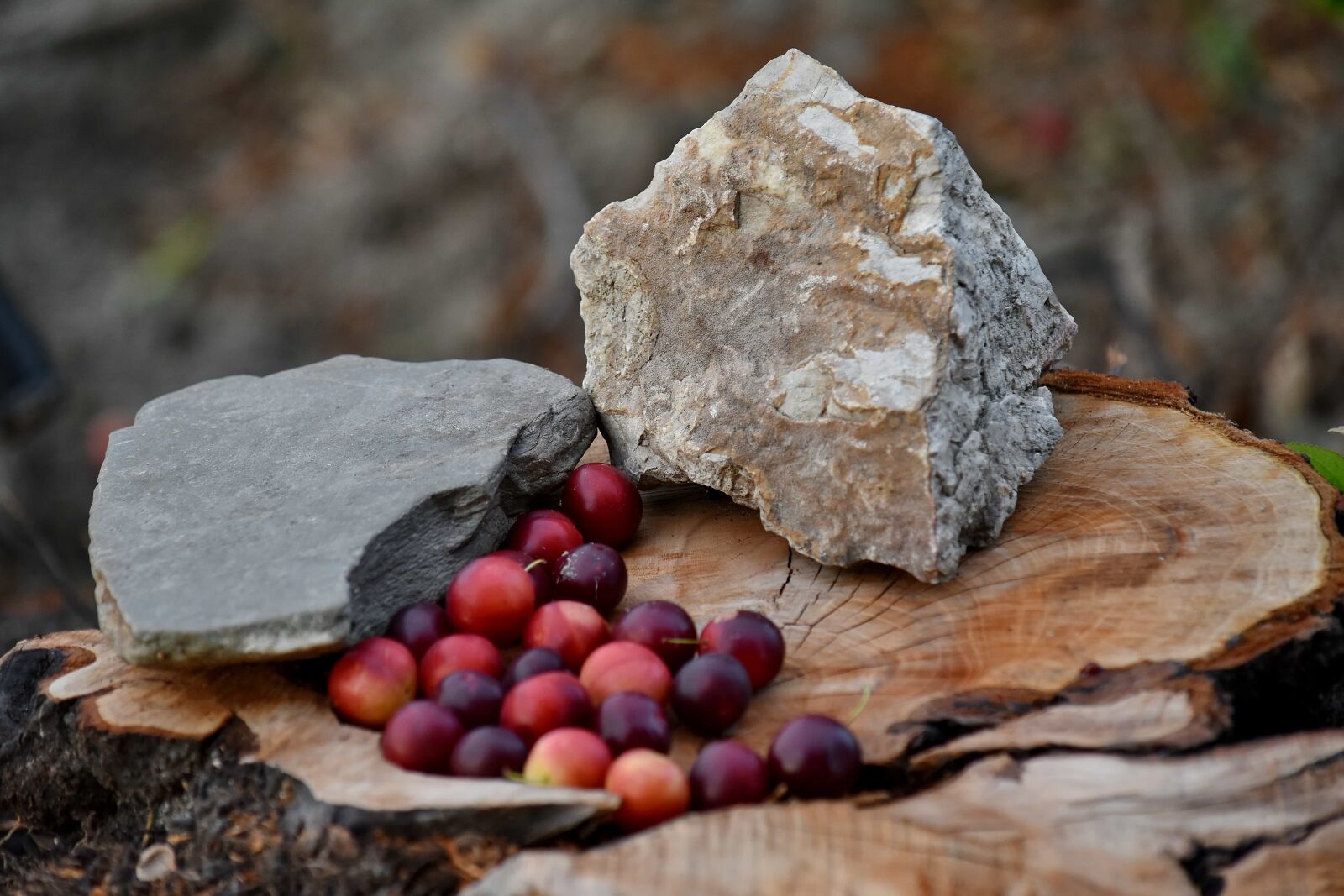 Nikon D5500 sample photo. Fruit, food, nature, wood photography