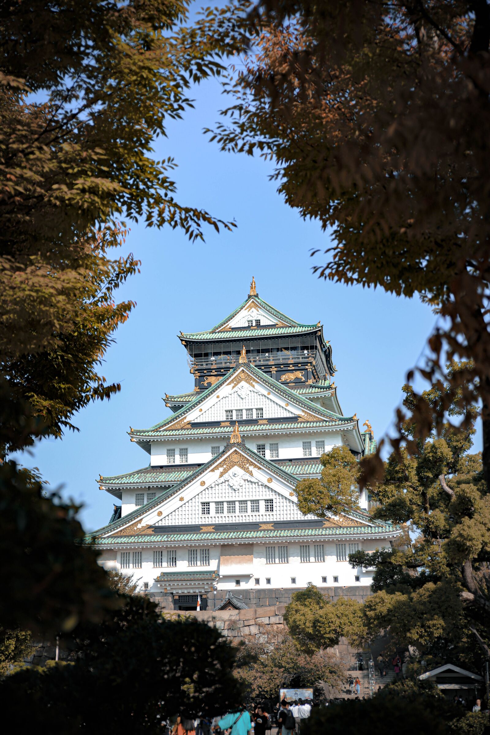 Canon EOS 6D Mark II sample photo. Autumn leaves, japan, foreign photography