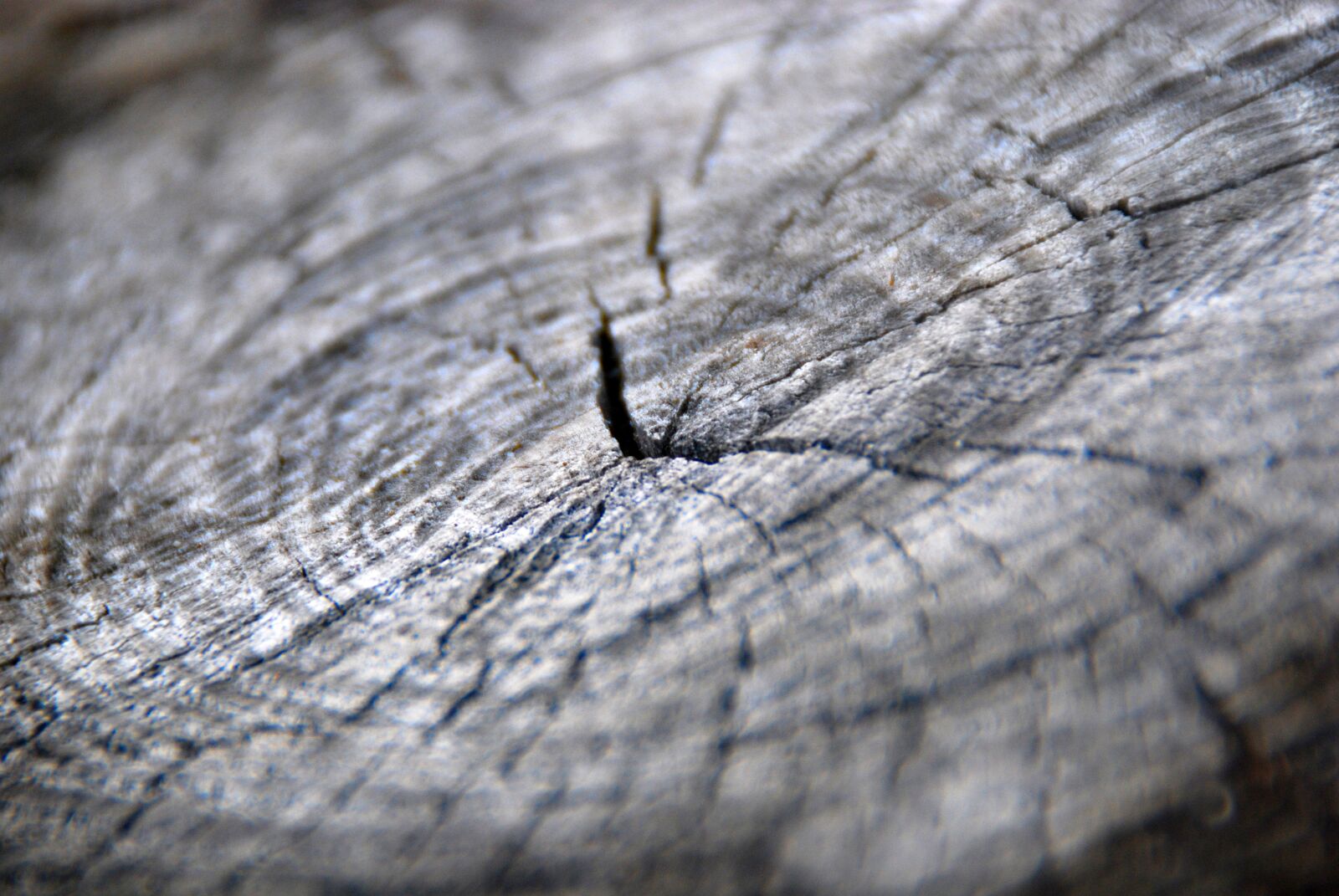 Nikon D40X sample photo. Wood, texture, wooden photography