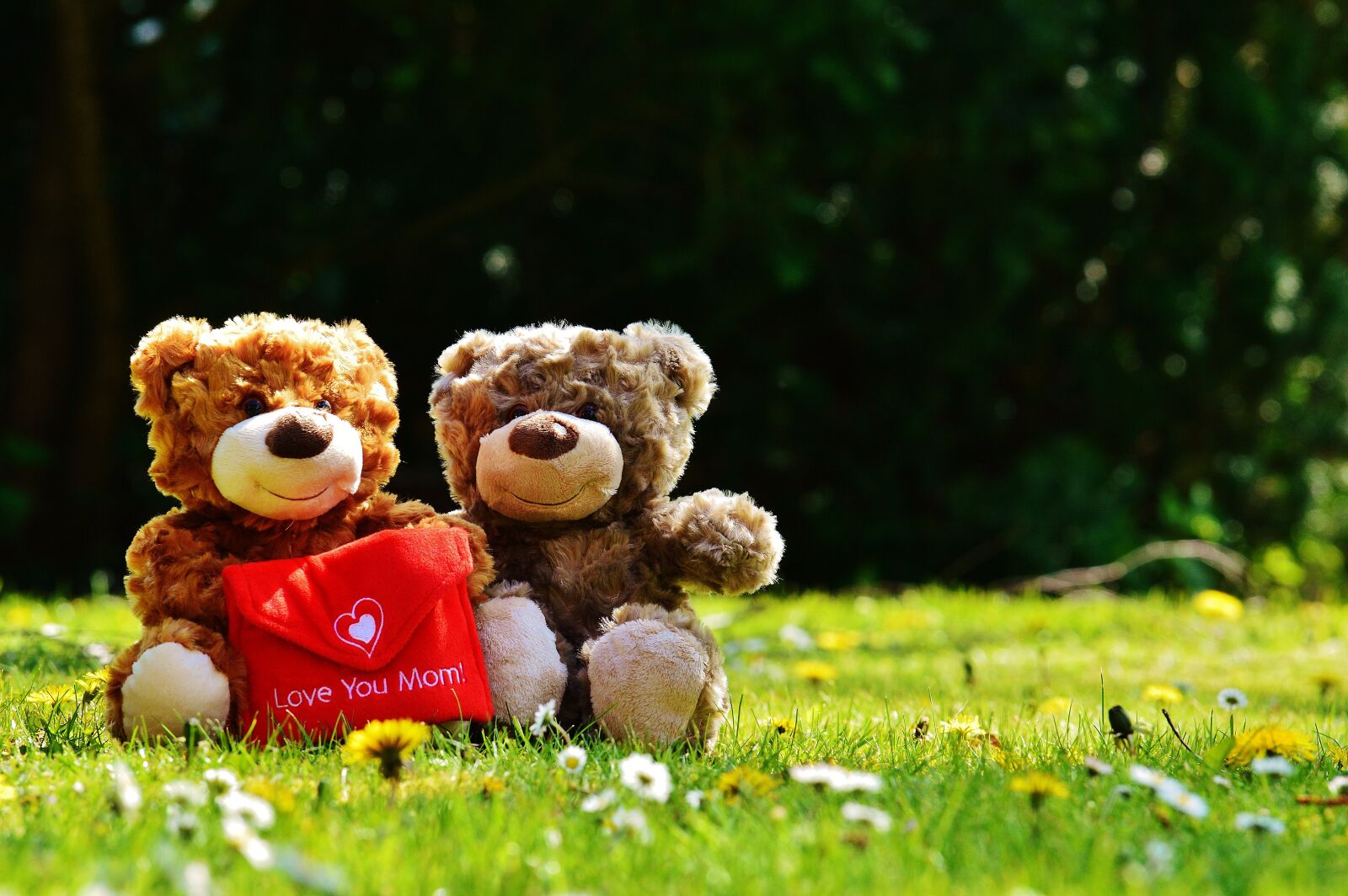 Nikon D3200 sample photo. Teddy, mother's day, love photography