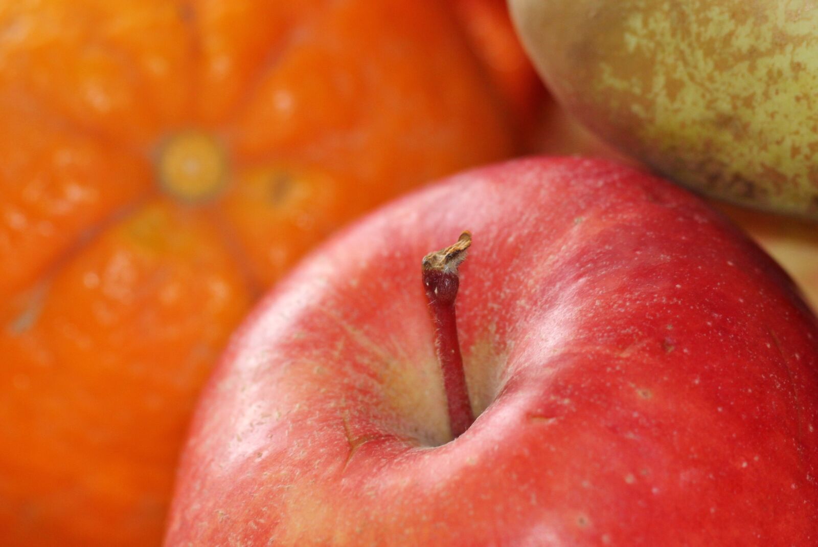 Canon EOS 500D (EOS Rebel T1i / EOS Kiss X3) sample photo. Apple, fruit, fruits photography