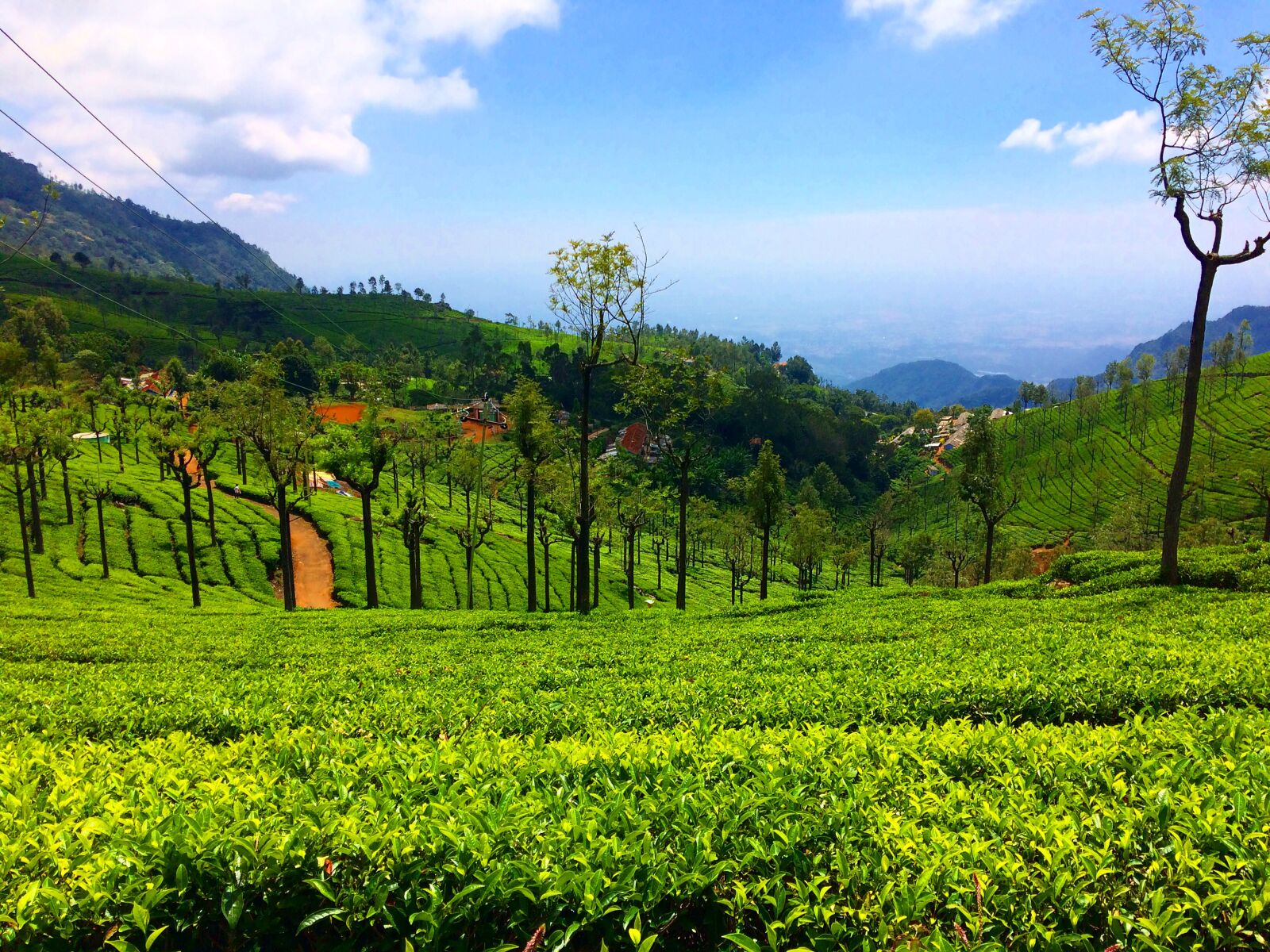 iPhone 5s back camera 4.15mm f/2.2 sample photo. Ooty photography