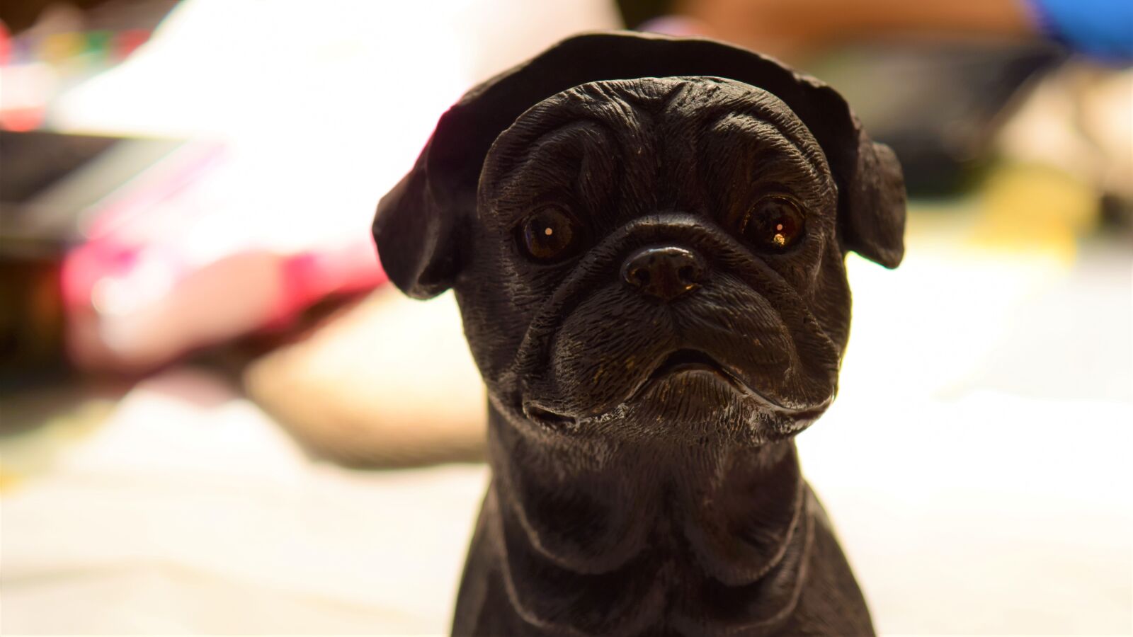 Nikon D3300 sample photo. Dog, pit bull, cute photography