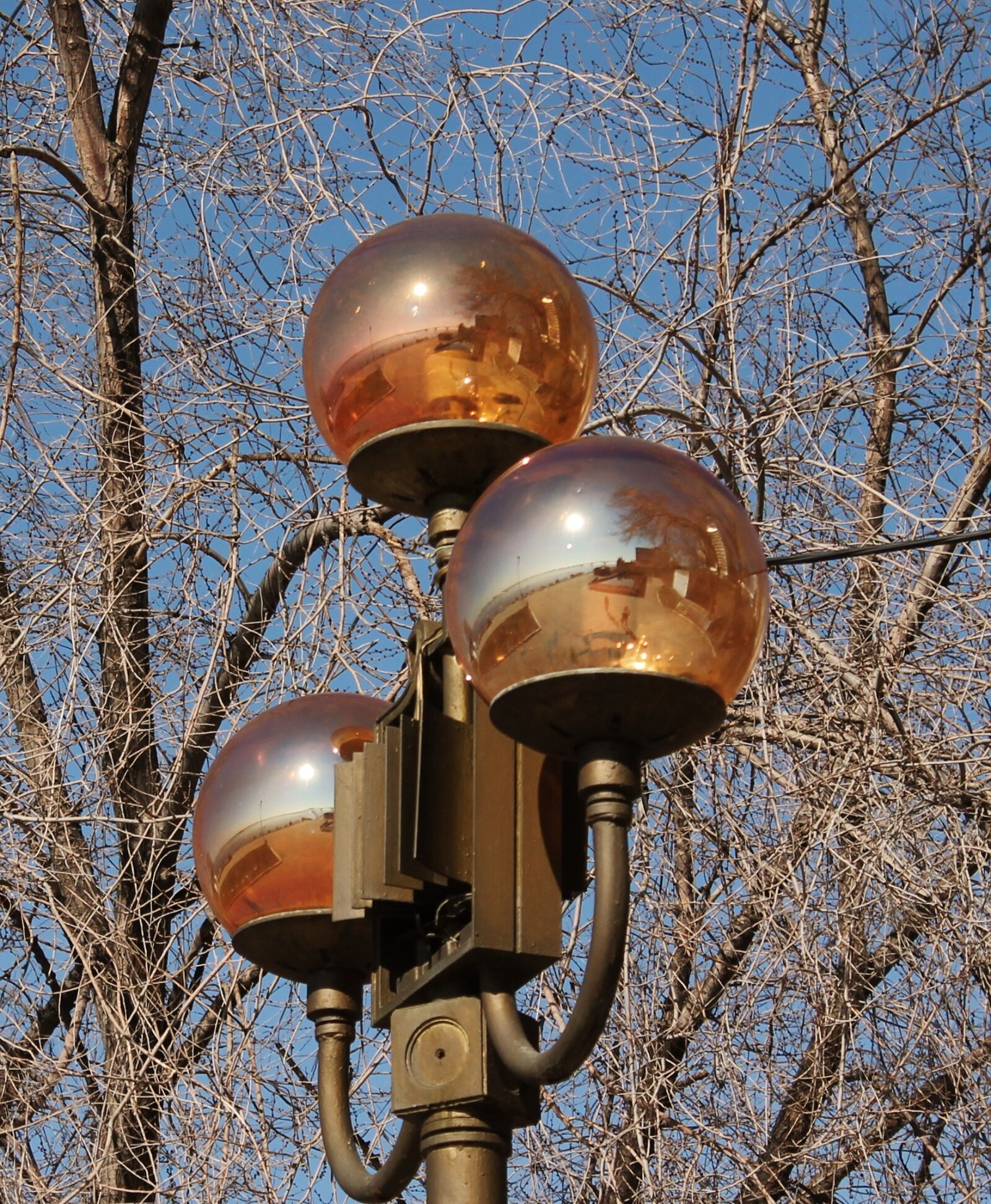 Canon EOS 1100D (EOS Rebel T3 / EOS Kiss X50) sample photo. Lantern, ball, light photography
