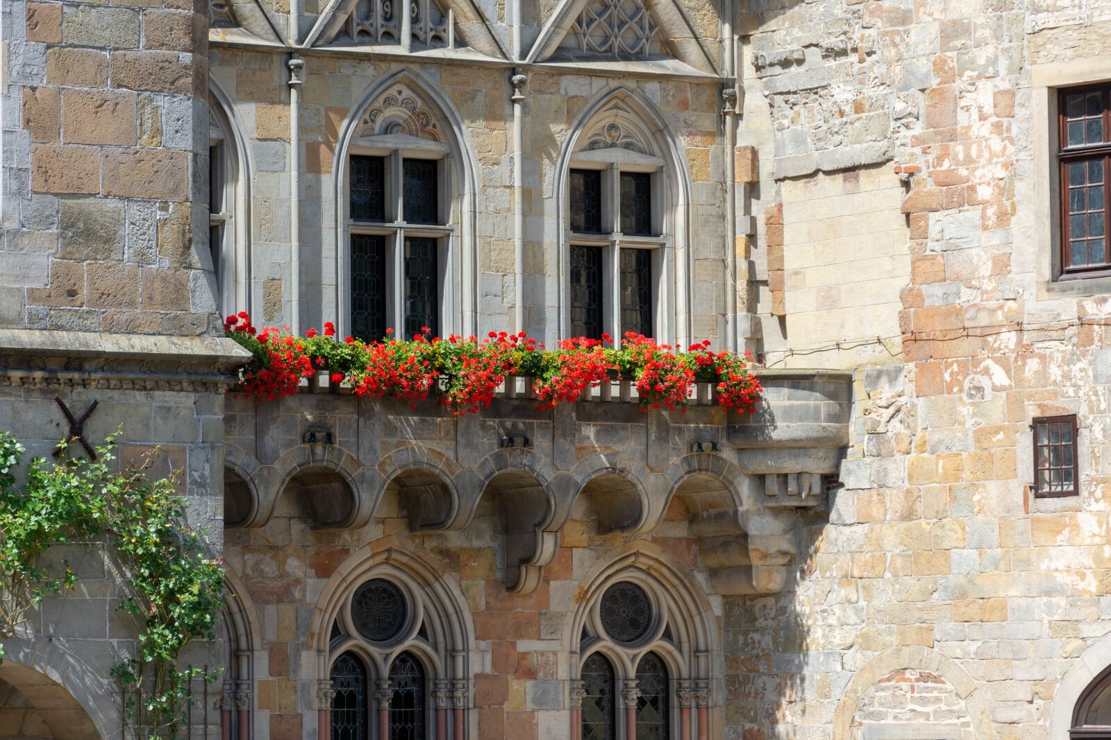 Nikon D7200 sample photo. Castle, flowers, history photography