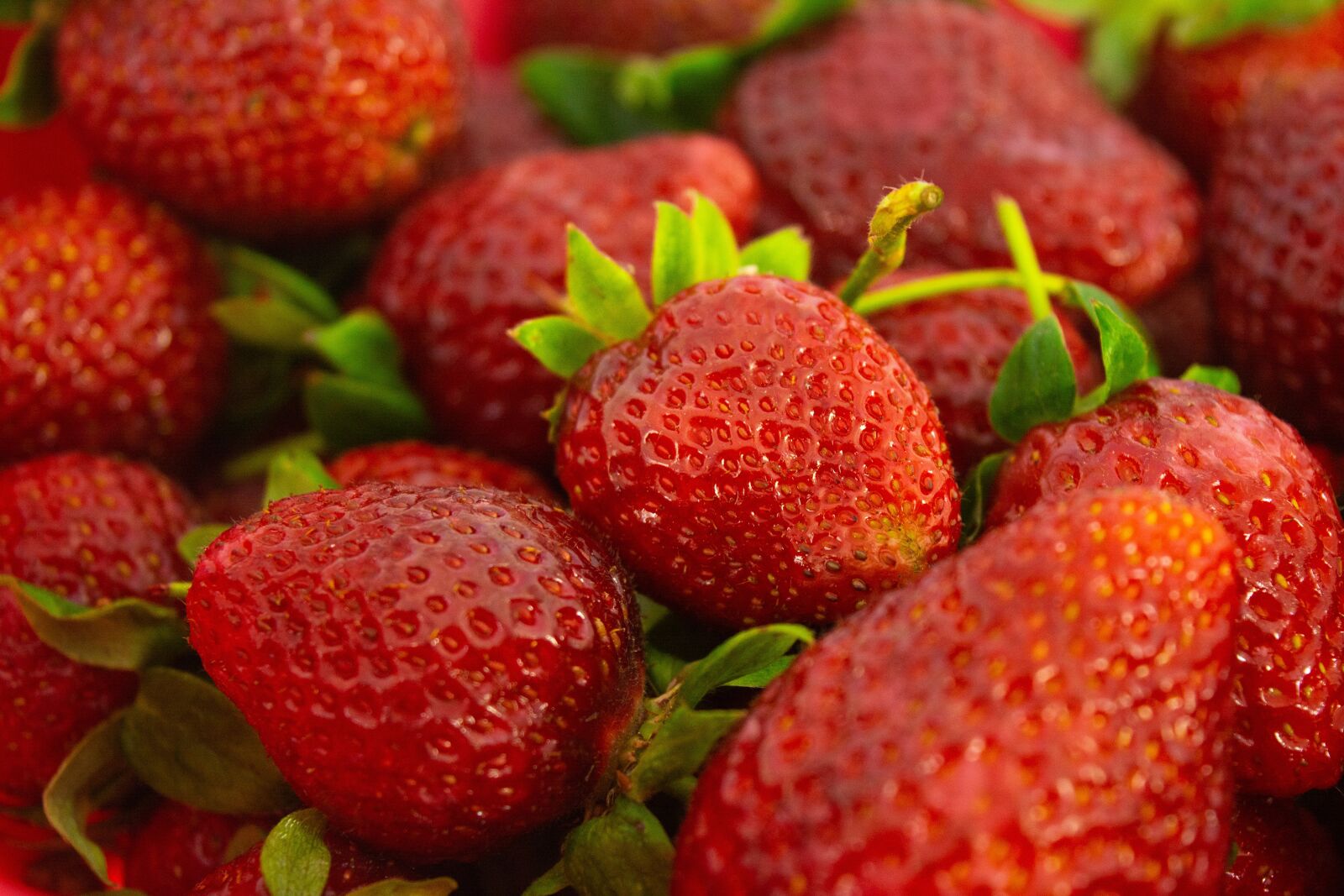 Nikon D5200 sample photo. Red, strawberry, white background photography