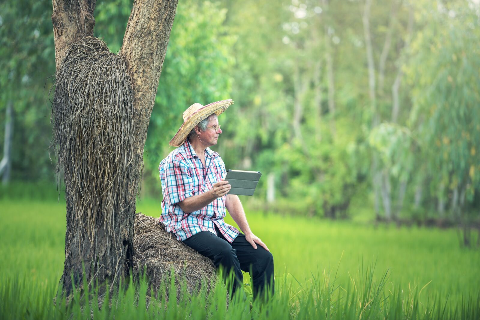 Nikon D810 sample photo. Agriculture, caucasian people, grain photography