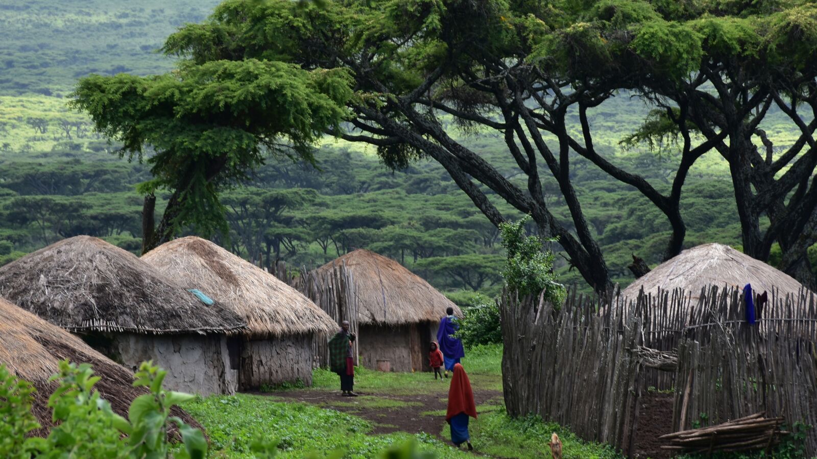 Nikon D7200 sample photo. Tanzania, masai, africa photography