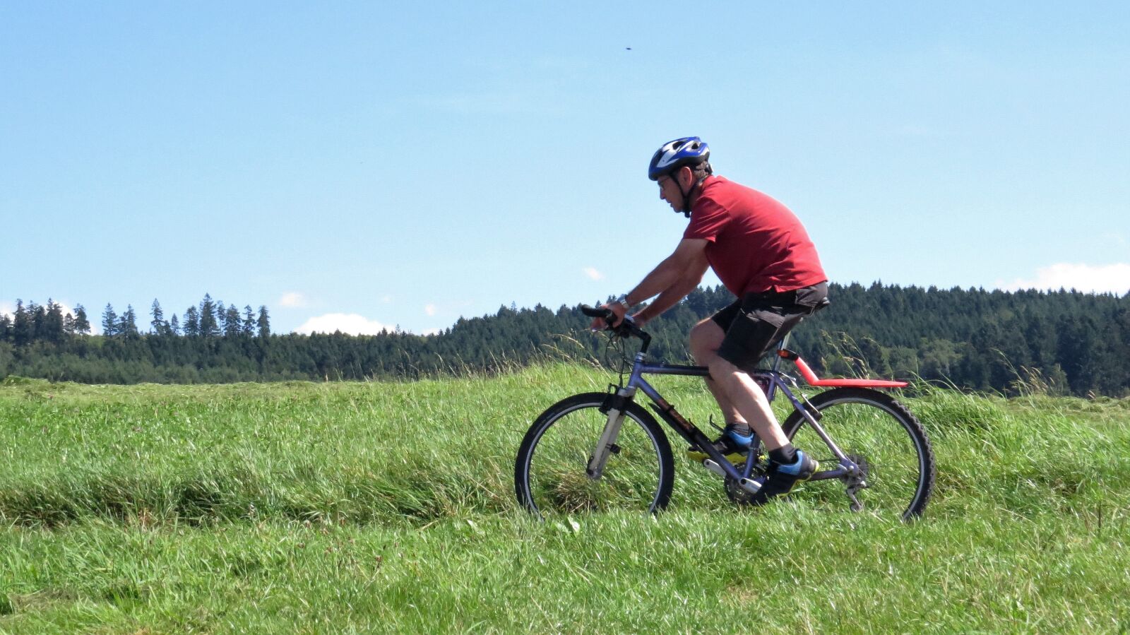 Canon PowerShot SX50 HS sample photo. Wheel, bike, cycling photography