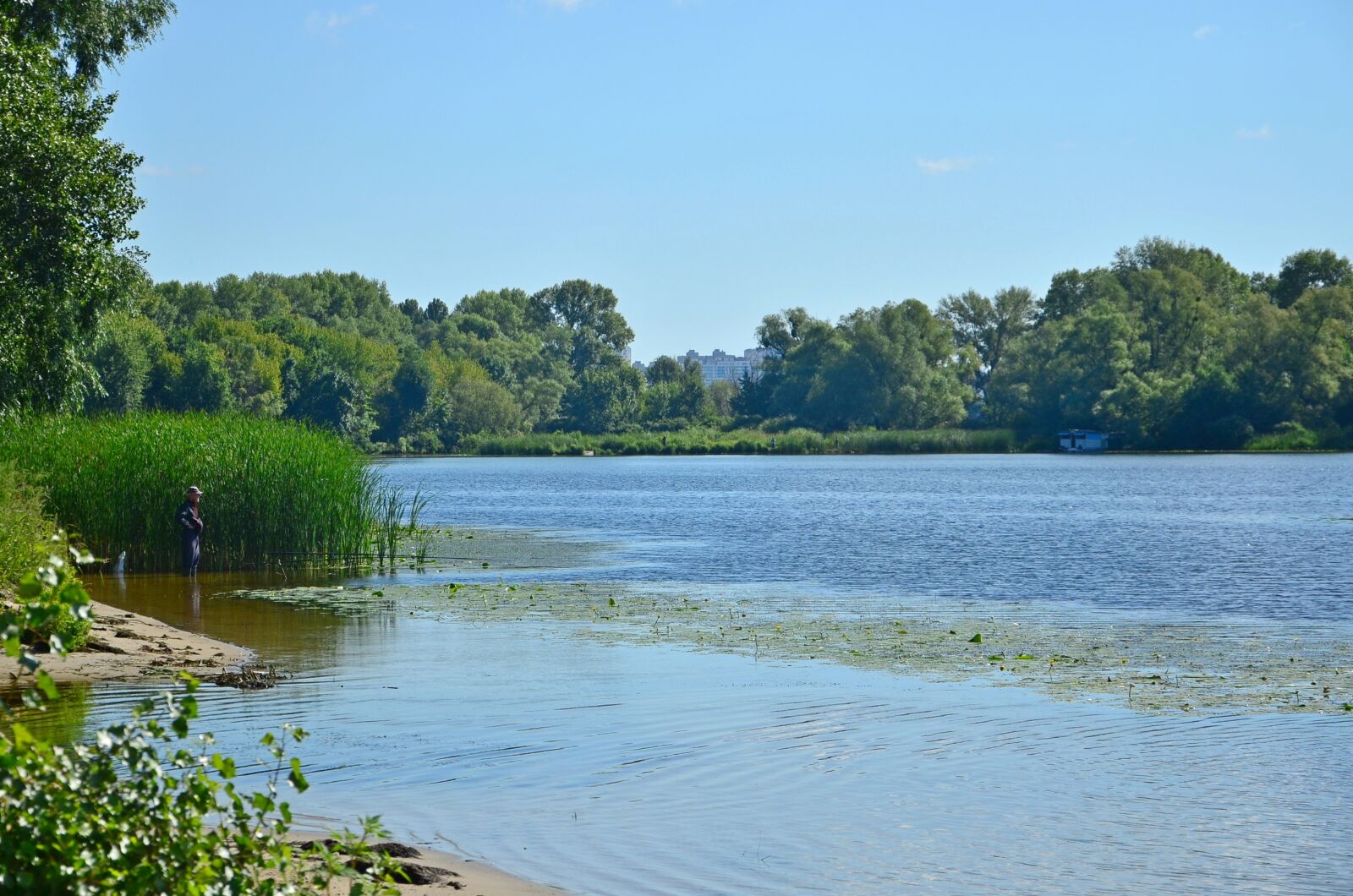 Nikon D5100 sample photo. River, summer, river bank photography