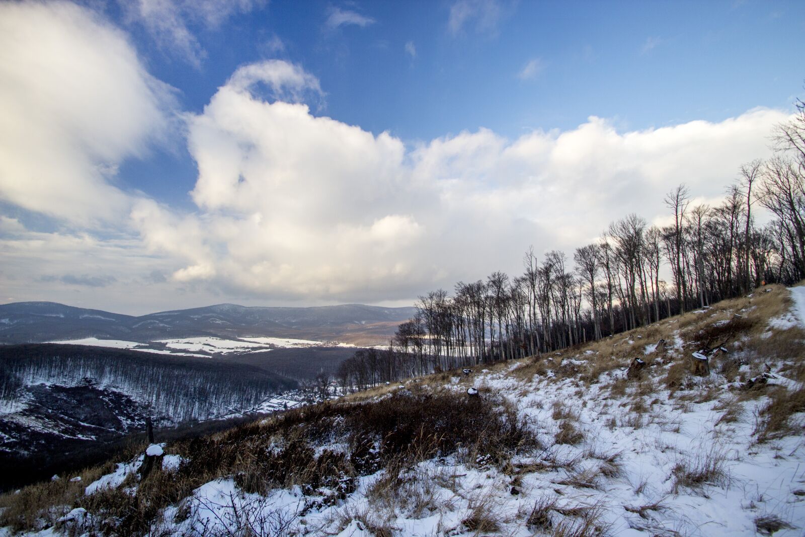Canon EOS 600D (Rebel EOS T3i / EOS Kiss X5) sample photo. Winter, country, snow photography
