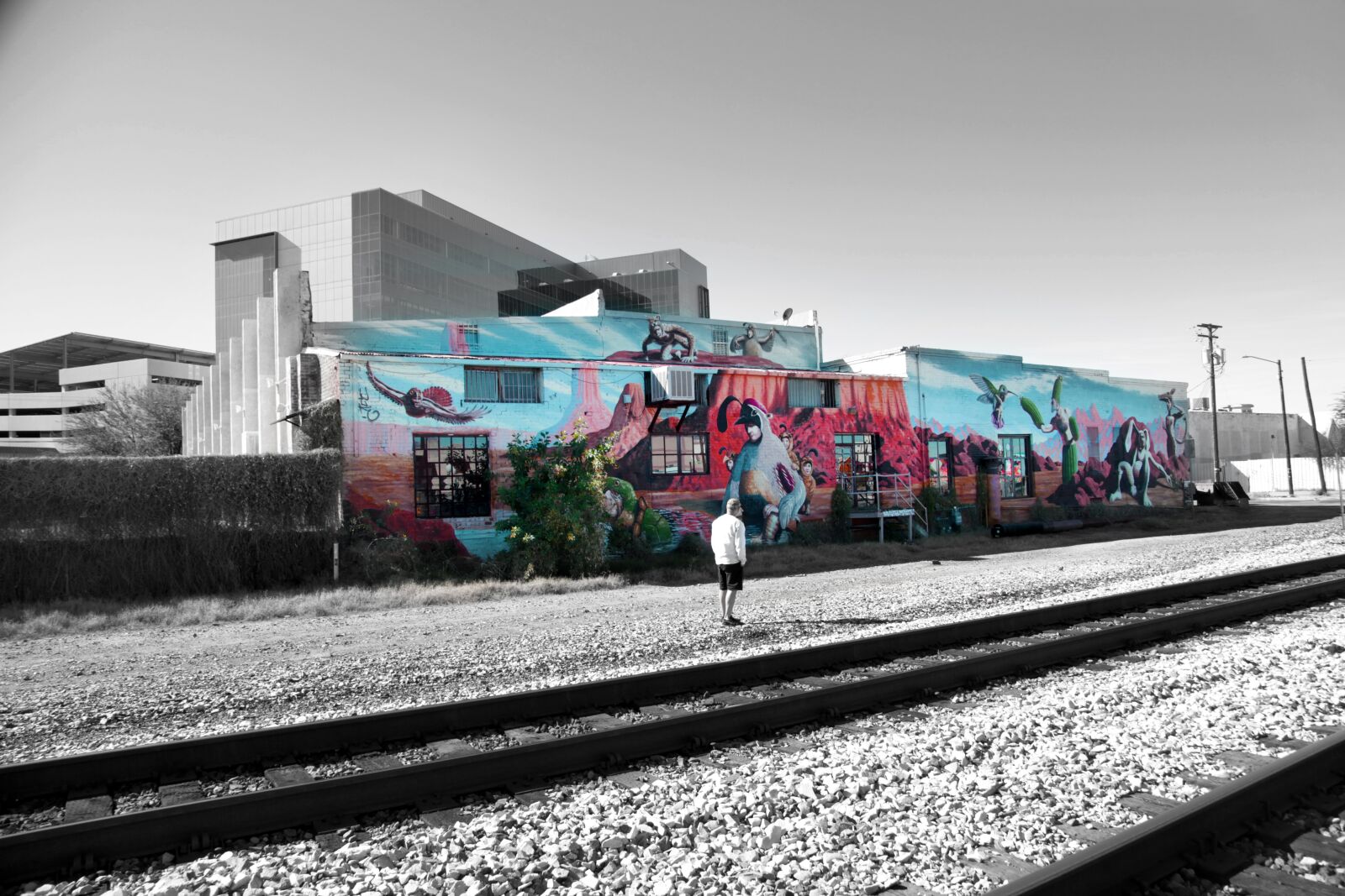 Canon EOS 5D Mark II sample photo. Street, color selection, colorful photography