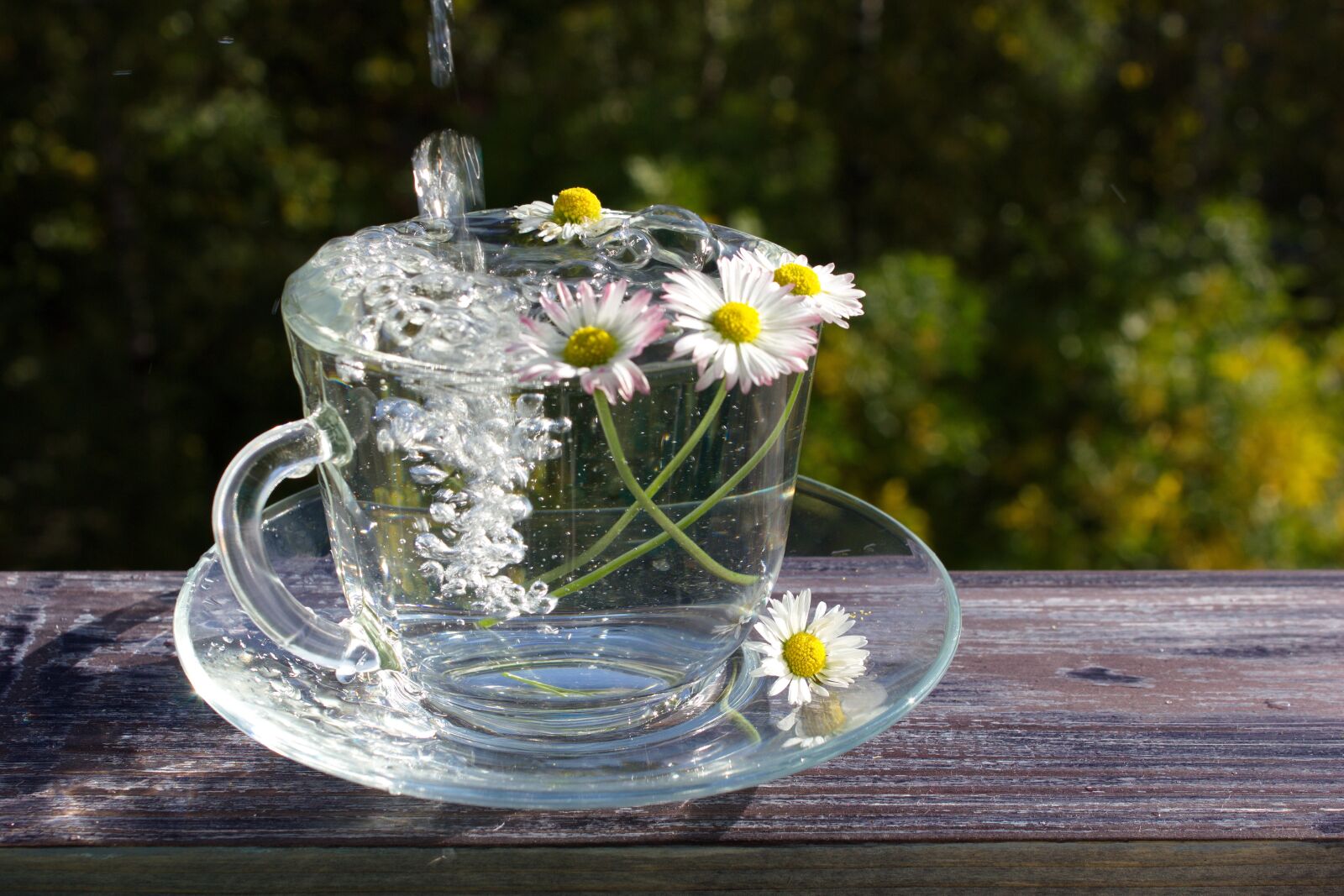 Canon EOS 550D (EOS Rebel T2i / EOS Kiss X4) sample photo. Cup, aqua, water photography