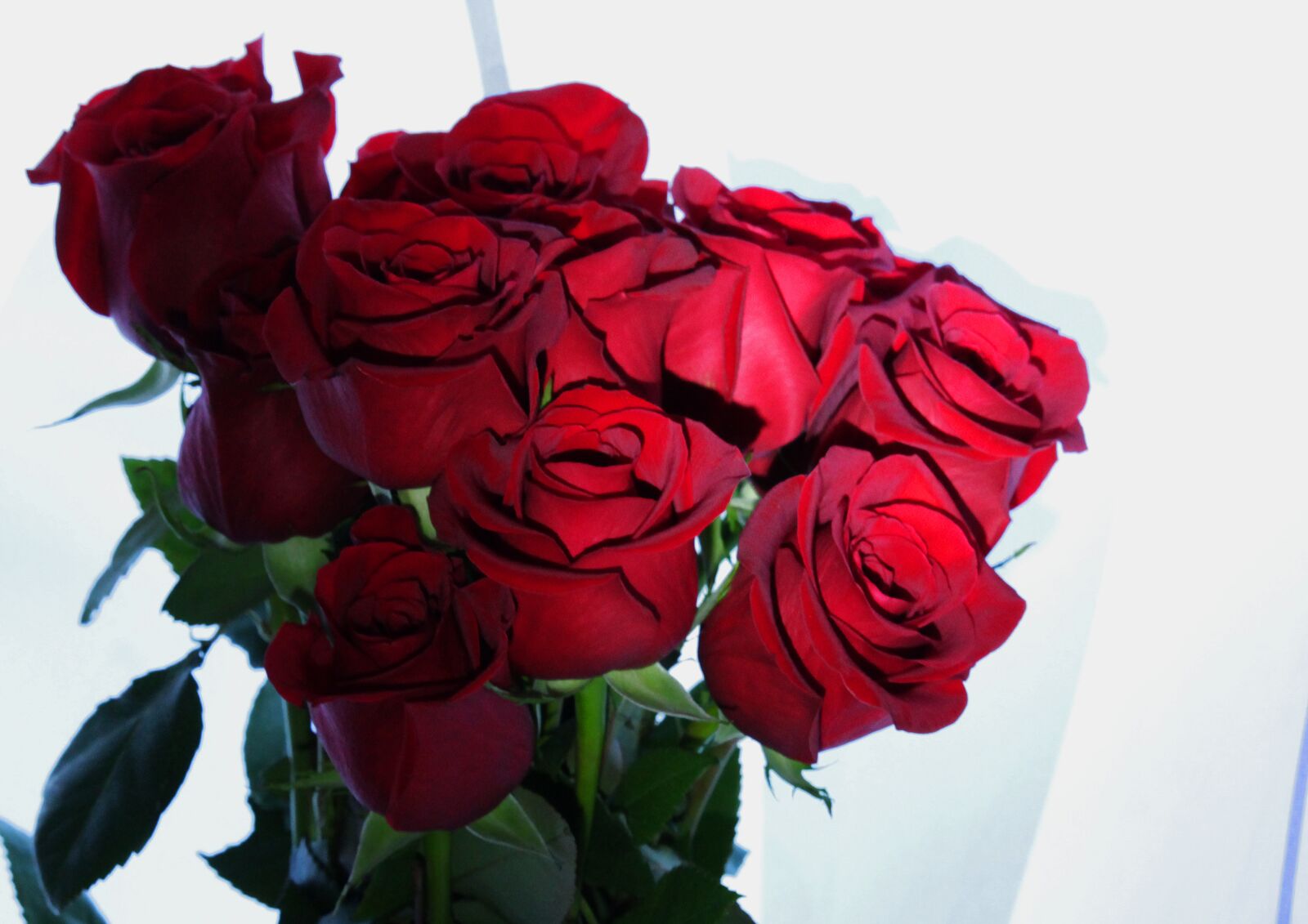 Canon EF-S 55-250mm F4-5.6 IS STM sample photo. Roses, bouquet, flowers photography