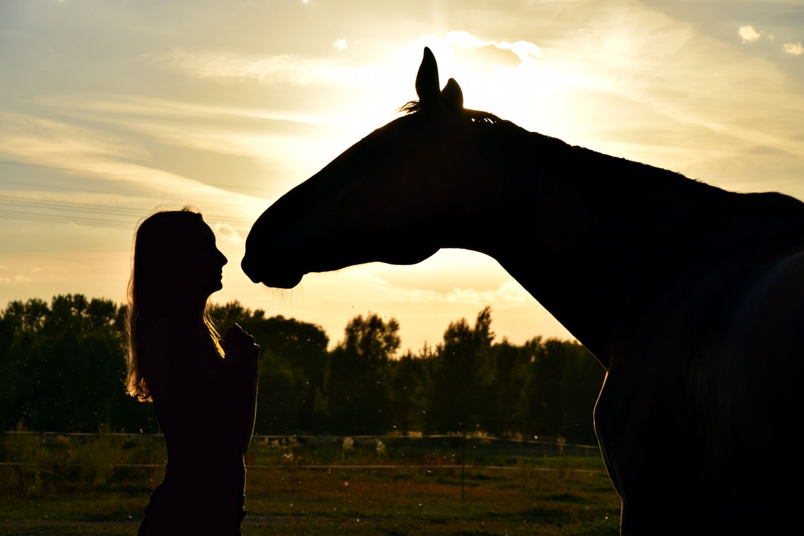 Nikon D3300 sample photo. Sunset, horse, human photography