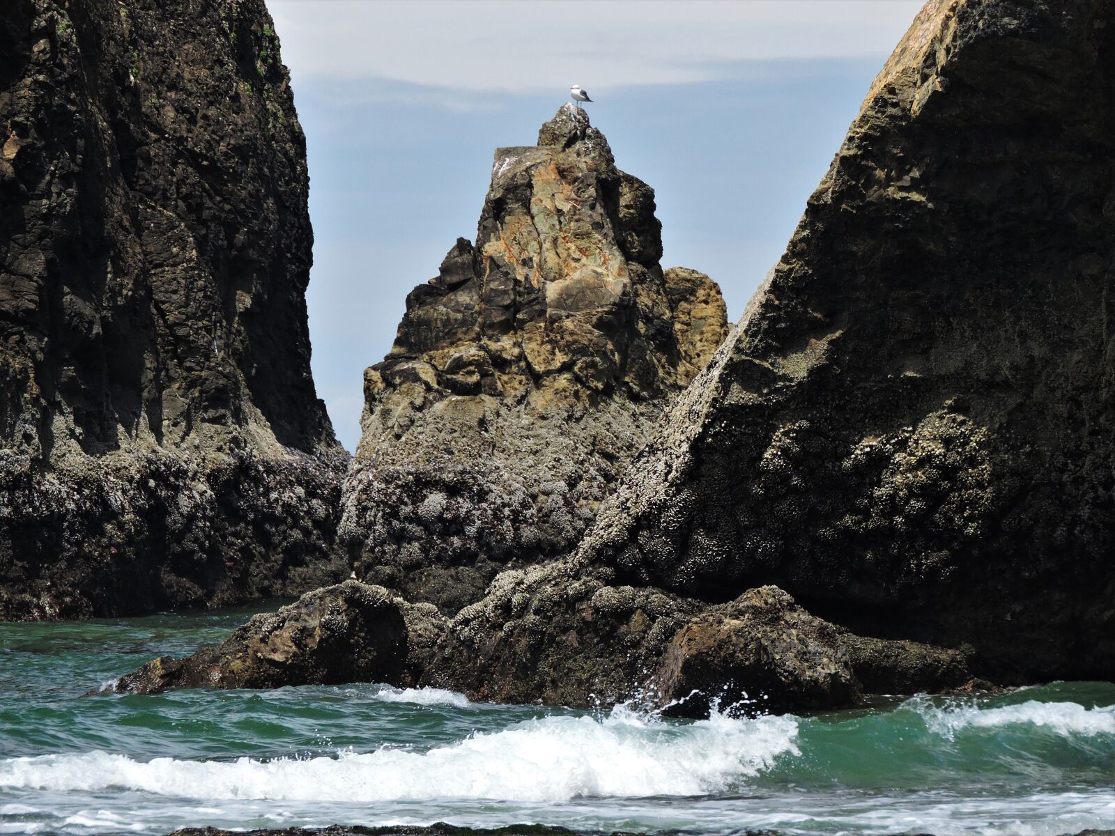 Nikon Coolpix P600 sample photo. Coast, oregon coast, ocean photography