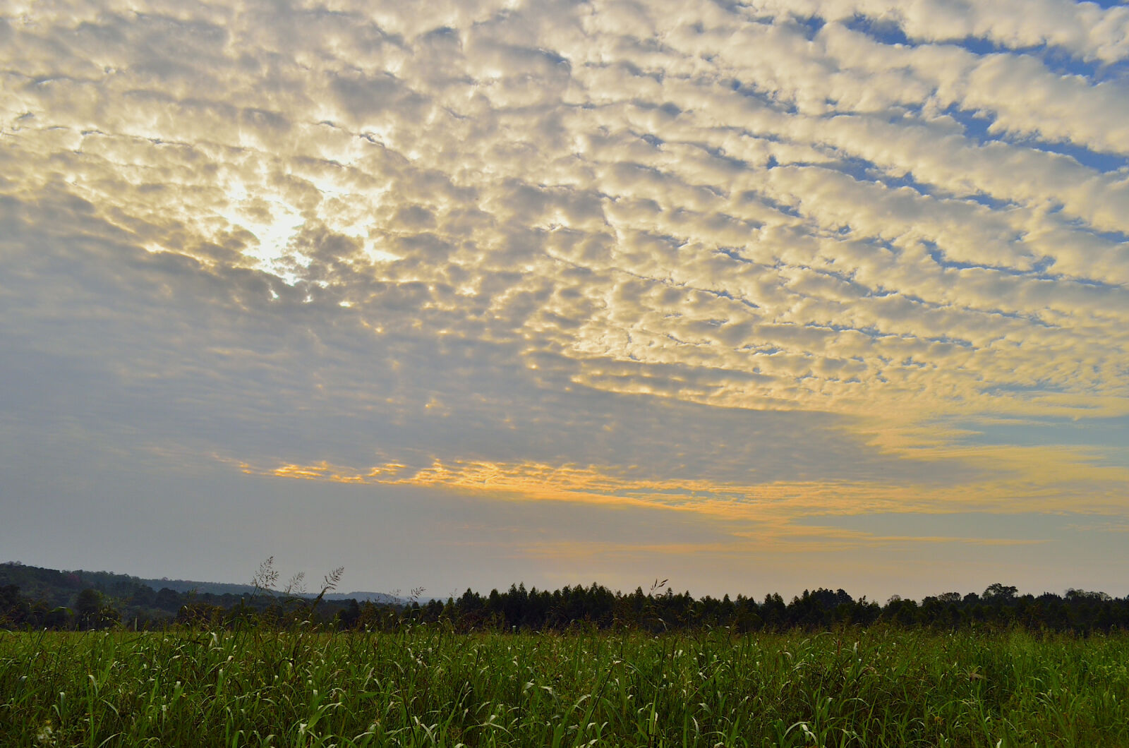 Nikon D5100 sample photo