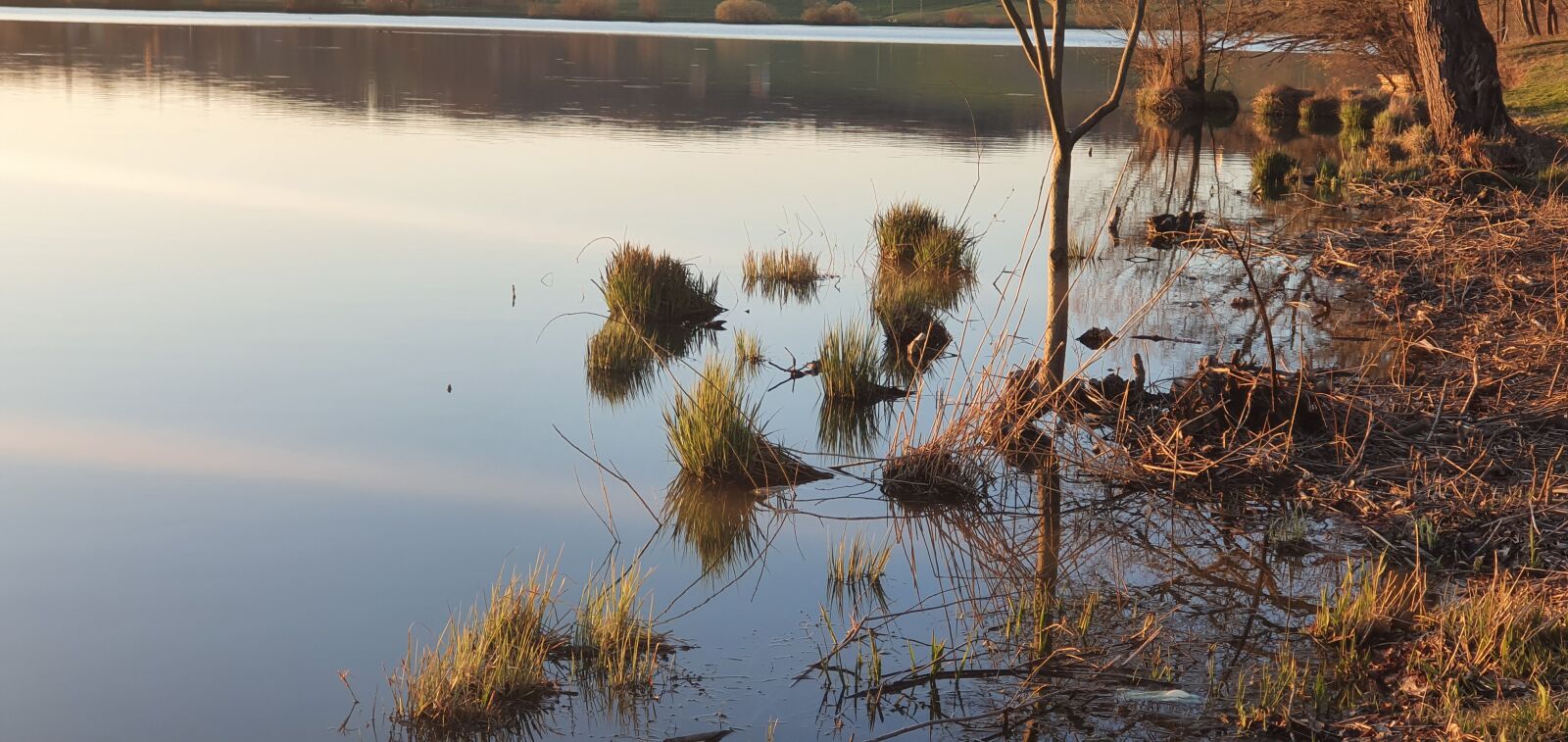 Samsung Galaxy S10 sample photo. Spring, nature, lake photography