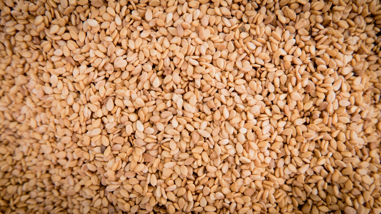 Panasonic Lumix DMC-LX100 sample photo. Sesame, seeds, sesame seeds photography