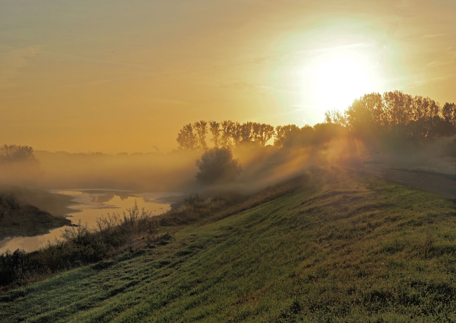 Olympus M.Zuiko Digital ED 12-100mm F4.0 IS Pro sample photo. Light, fog, landscape photography